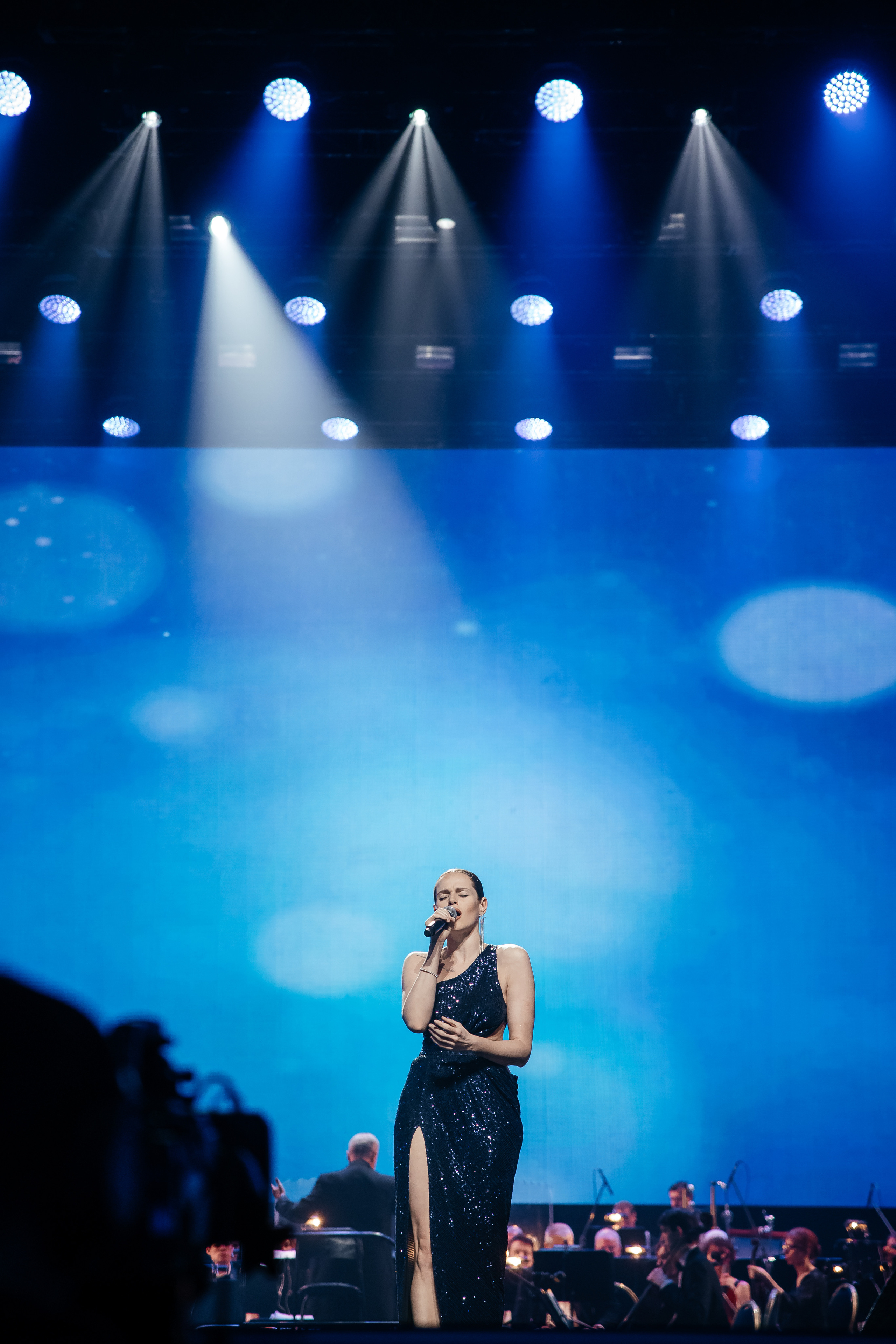 Ты мой Герой. Светский фотограф — Анисина Ирина