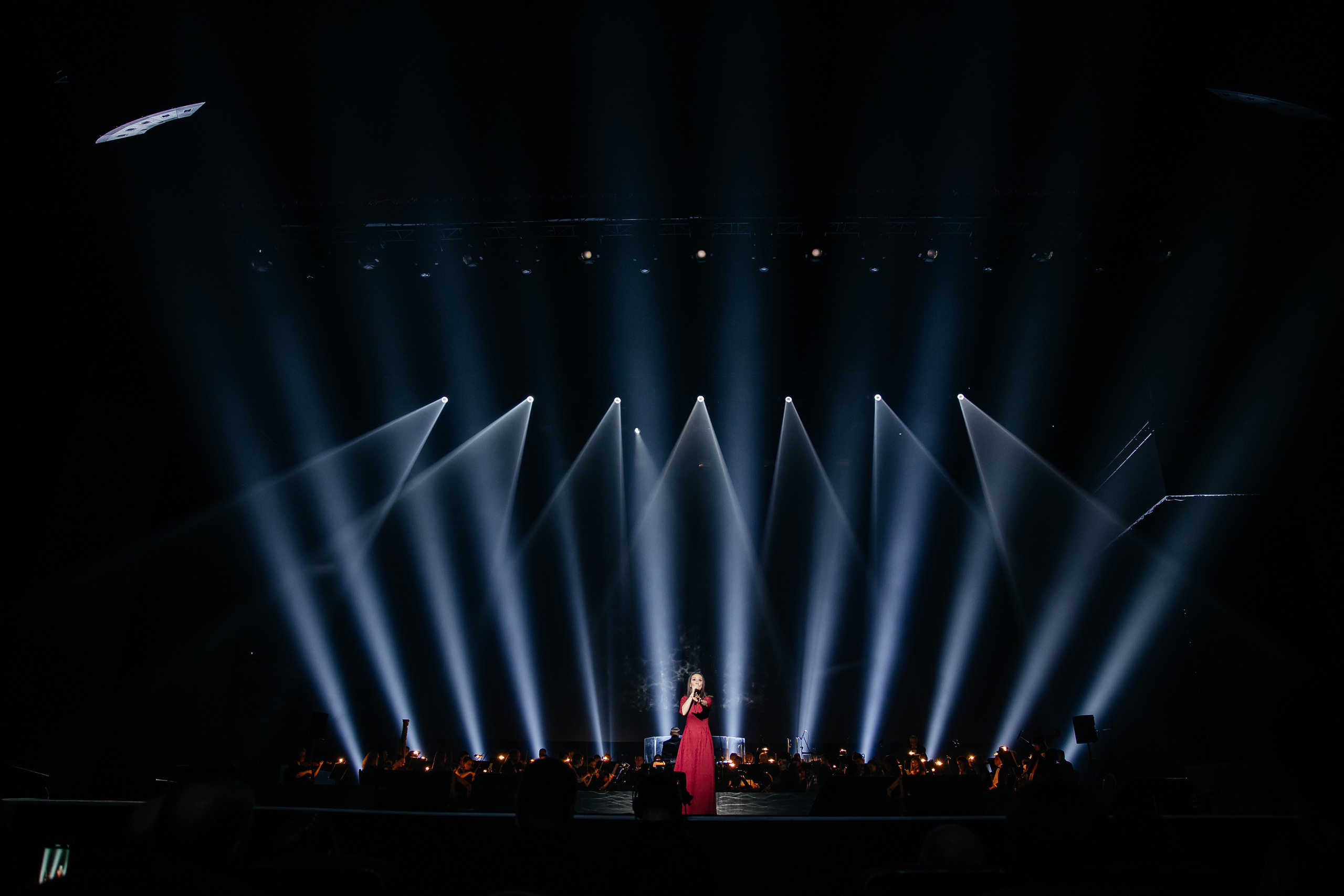 Ты мой Герой. Светский фотограф — Анисина Ирина