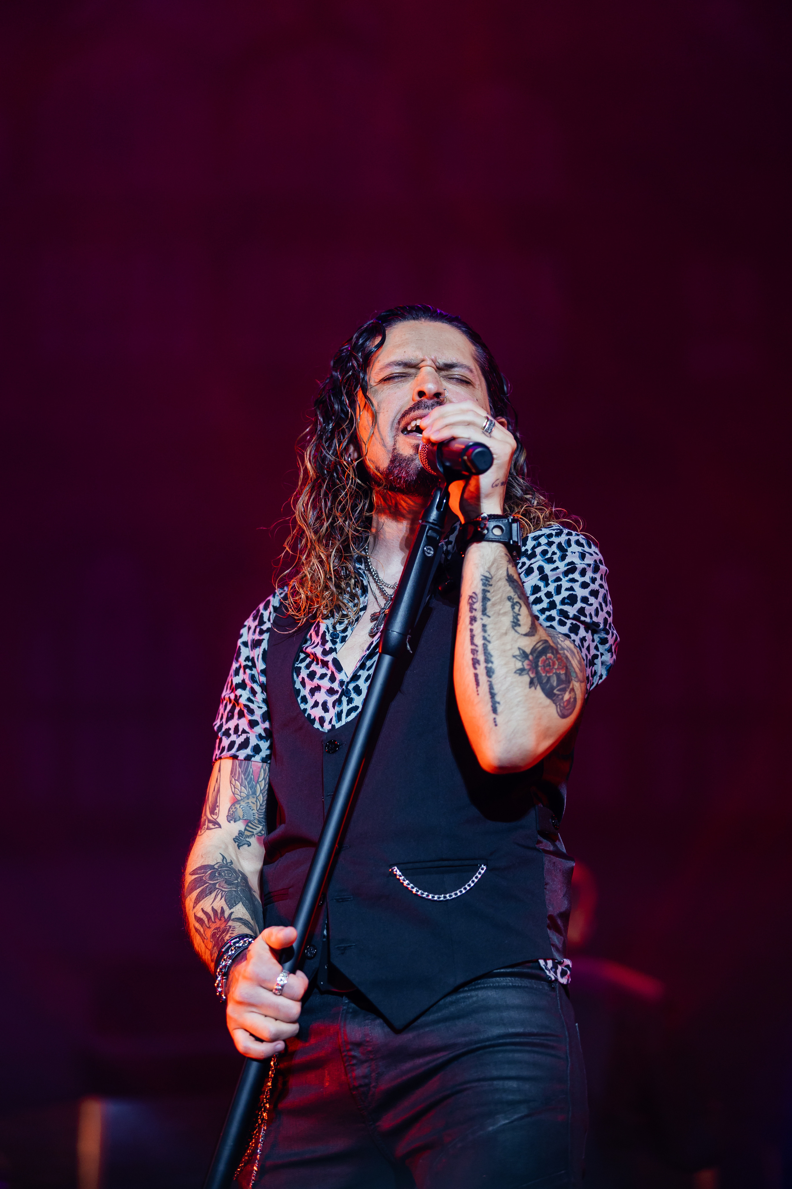 QUEEN CLASSICS. Светский фотограф — Анисина Ирина