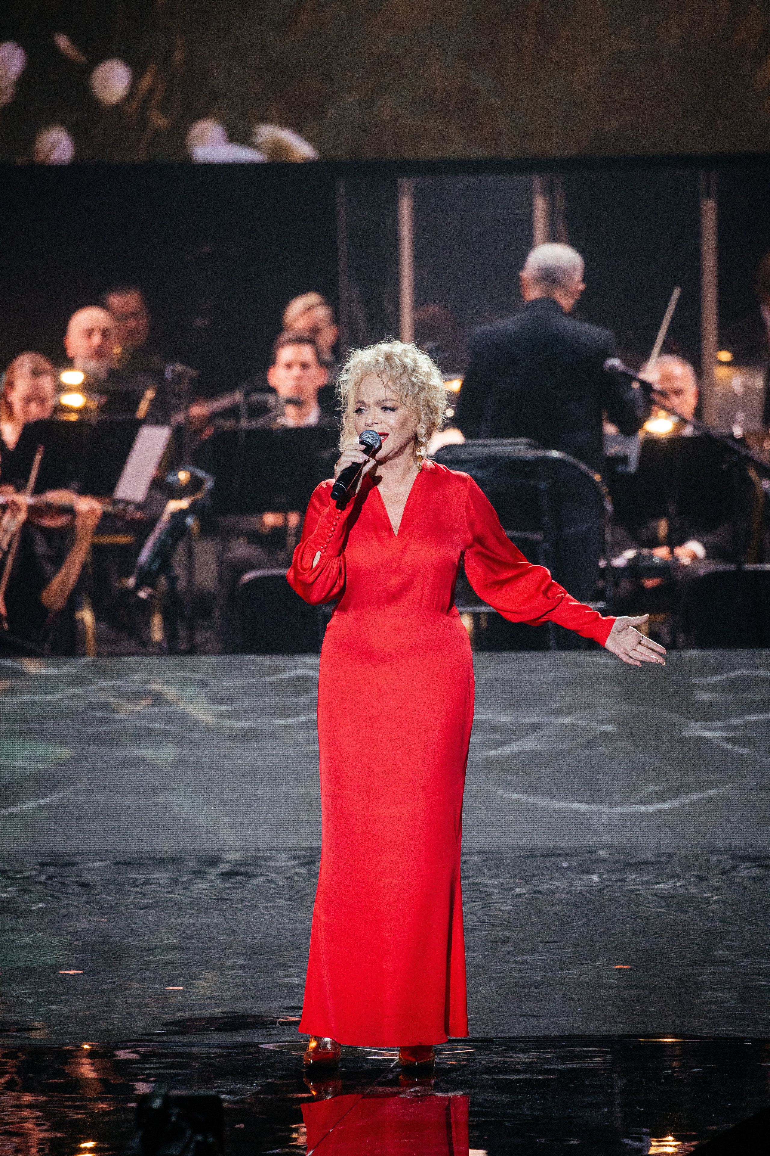 Ты мой Герой. Светский фотограф — Анисина Ирина