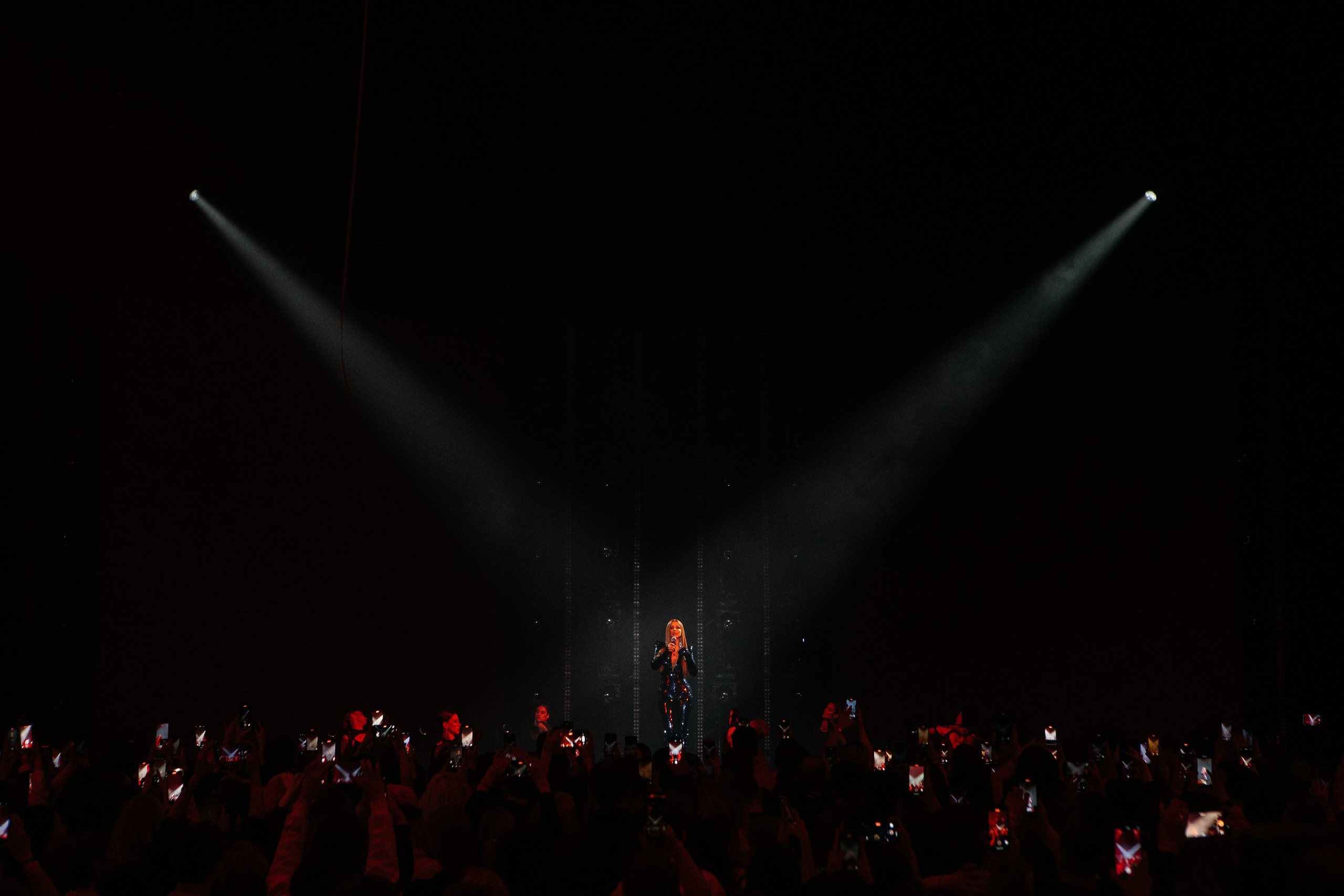 ЖАРА Новый Год. Светский фотограф — Анисина Ирина