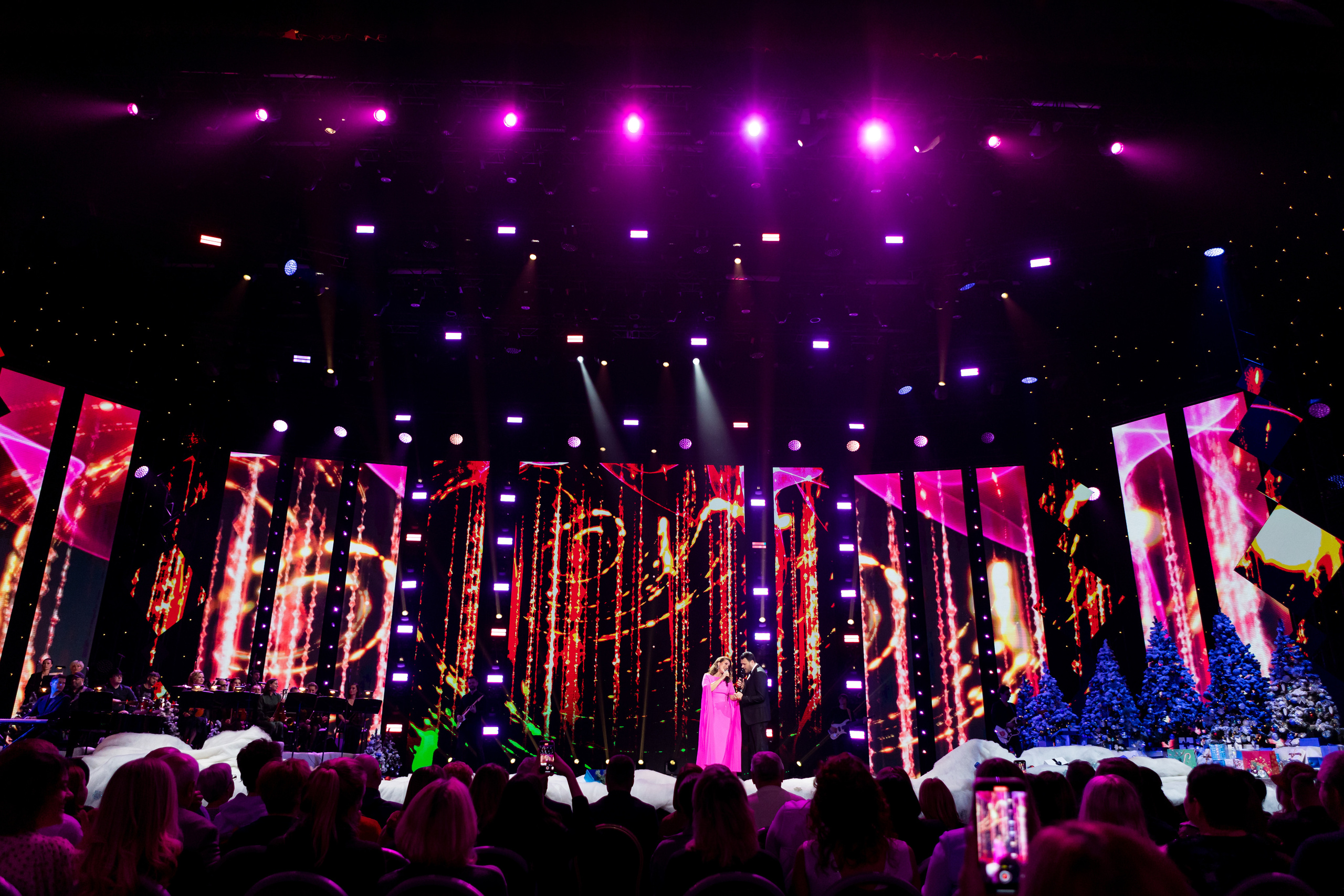 Наш Новый Год. Светский фотограф — Анисина Ирина