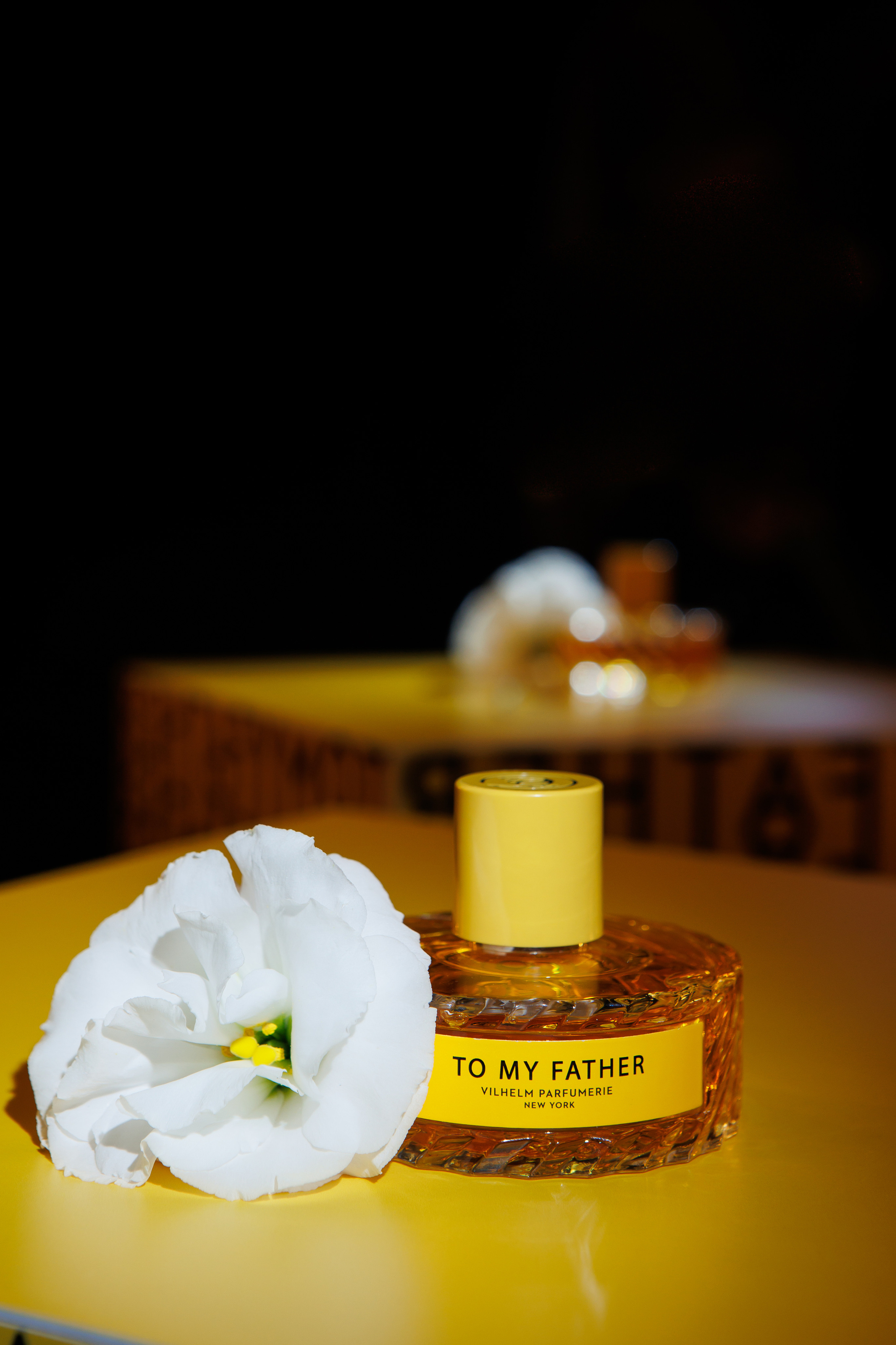 TO MY FATHER. Светский фотограф — Анисина Ирина