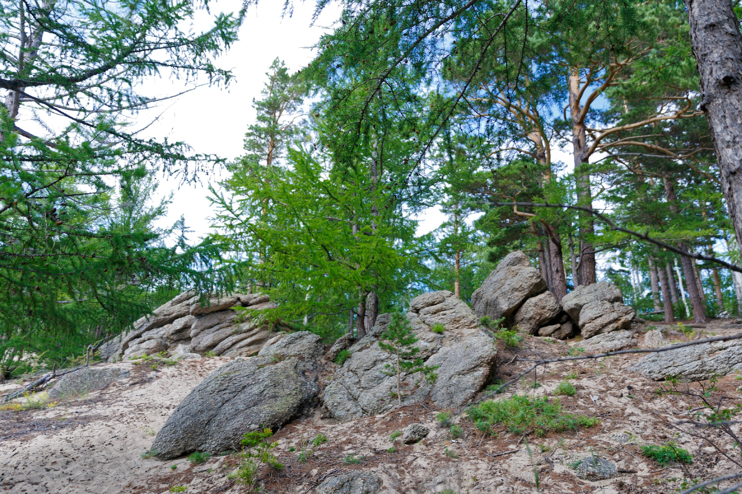 Выезд в бухту Песчаная. Свадебный фотограф Иркутск, репортажный фотограф Иркутск