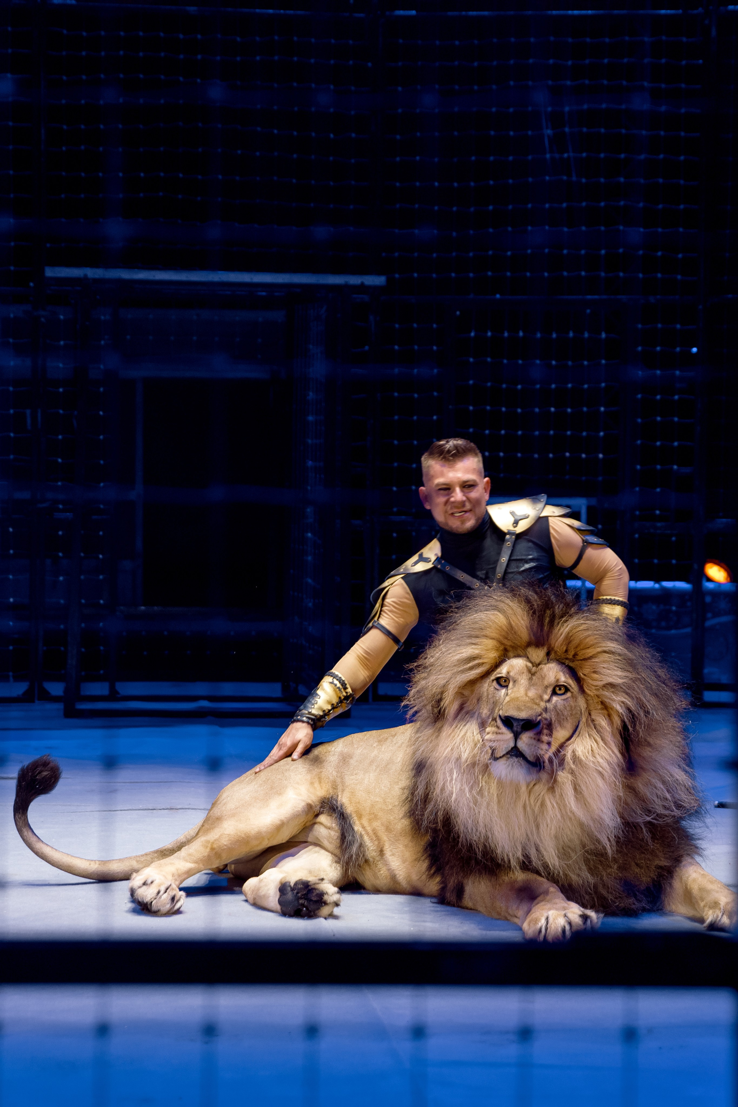 Цирк Moretti в Иркутске. Свадебный фотограф Иркутск, репортажный фотограф Иркутск