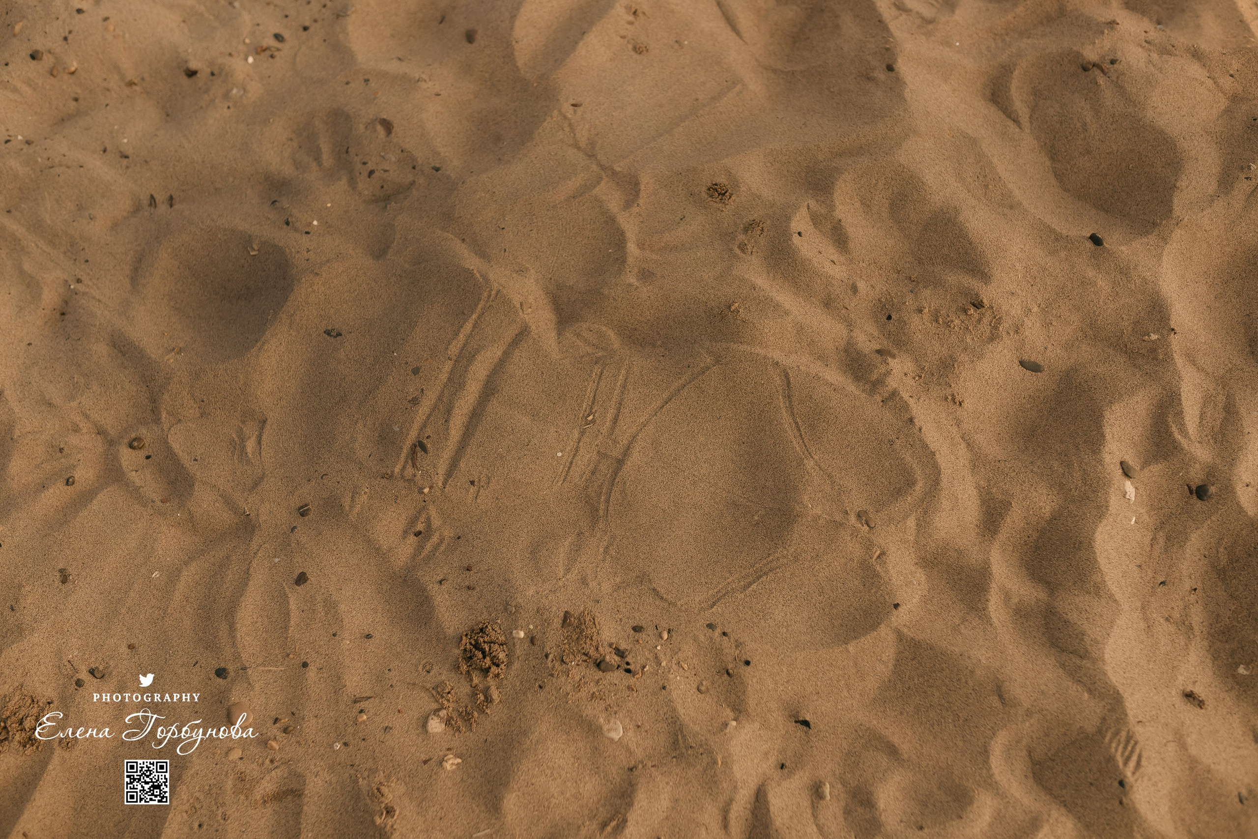 Черная серия с тканью. Набережная. Александра и Таисия. Июль 2025 г. Фотограф Пермь. Свадьбы. Семья и дети, школа, д. сад. Фотокниги