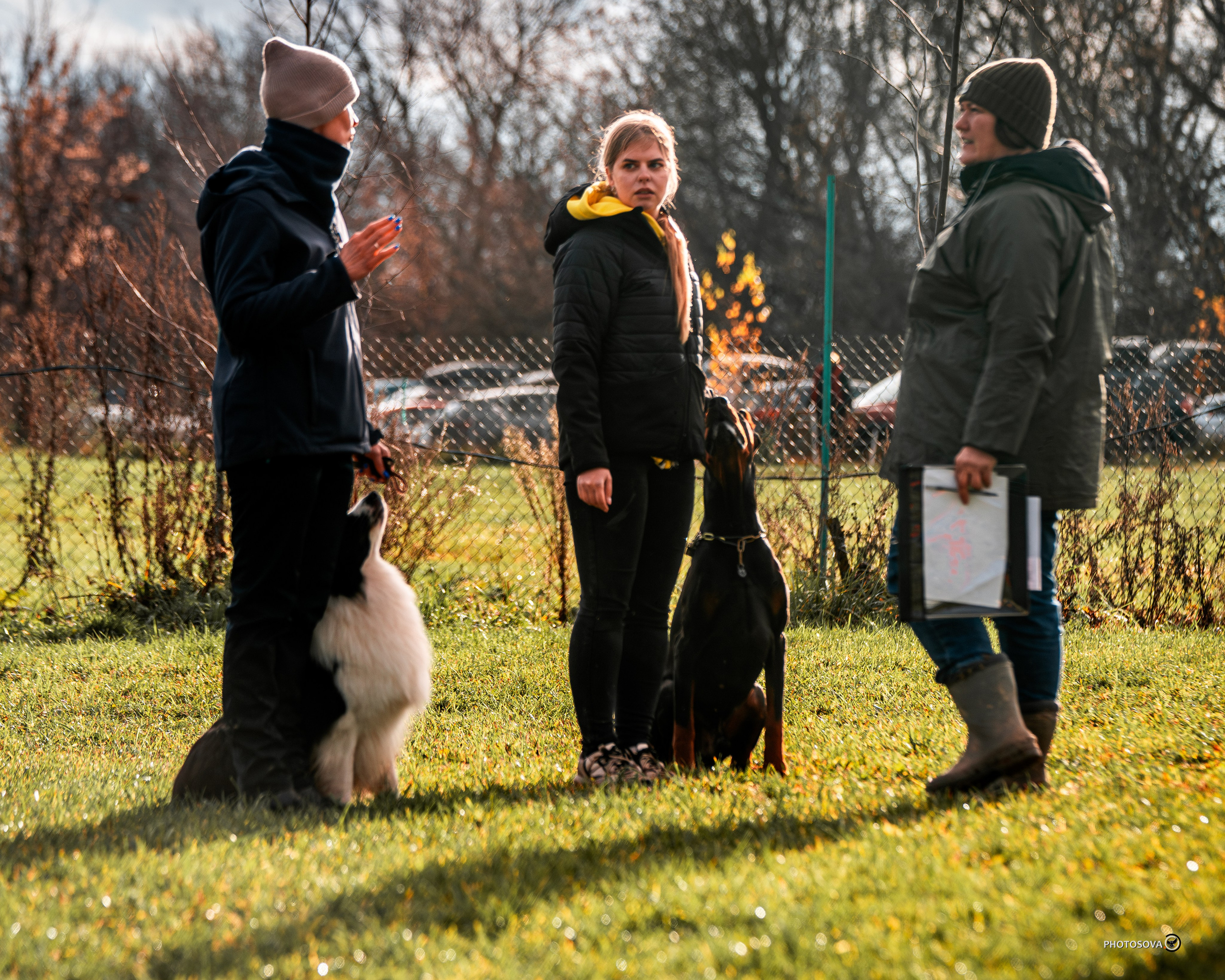 МЫ — КОМАНДА (соревнования) OKD, BH, IBGH, IGP. Фотограф-анималист, семейный фотограф в Москве и Подмосковье. Фотосъёмка кинологических дисциплин