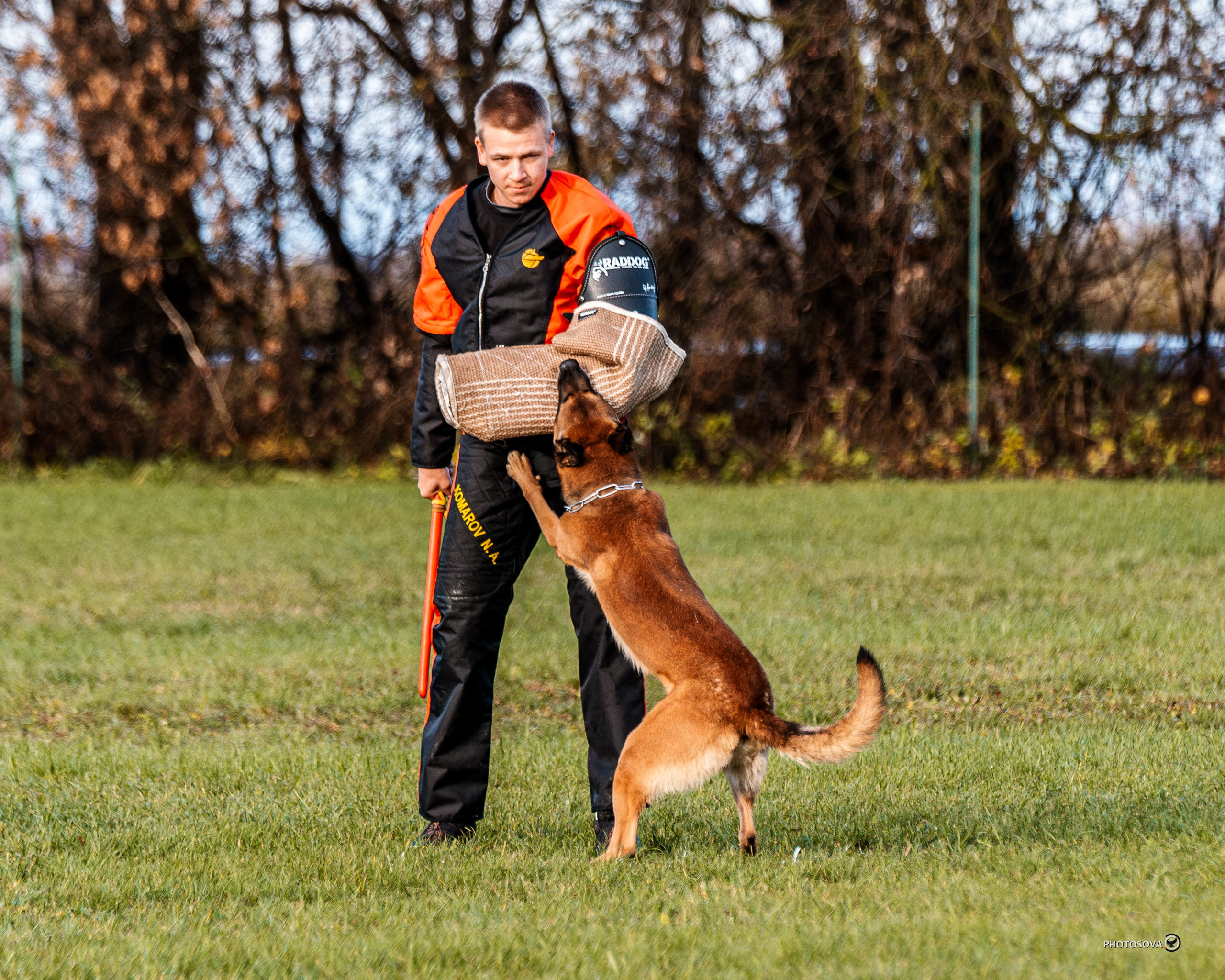 МЫ — КОМАНДА (соревнования) OKD, BH, IBGH, IGP. Фотограф-анималист, семейный фотограф в Москве и Подмосковье. Фотосъёмка кинологических дисциплин