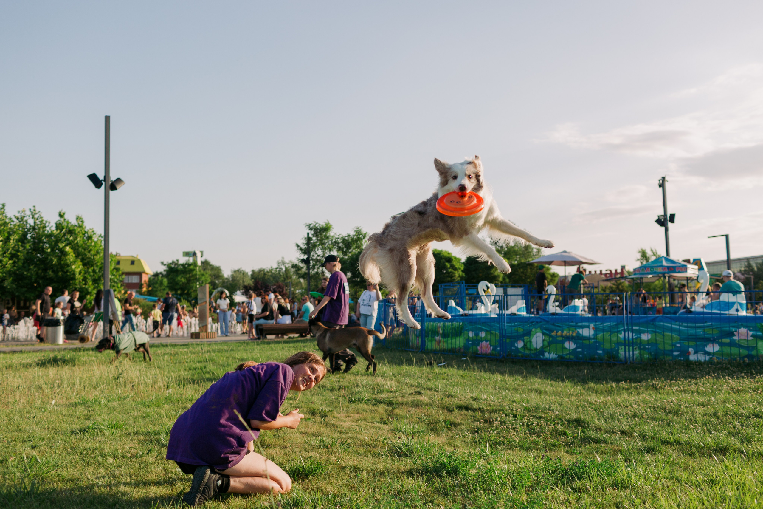 Dog Fest 2024. Главная