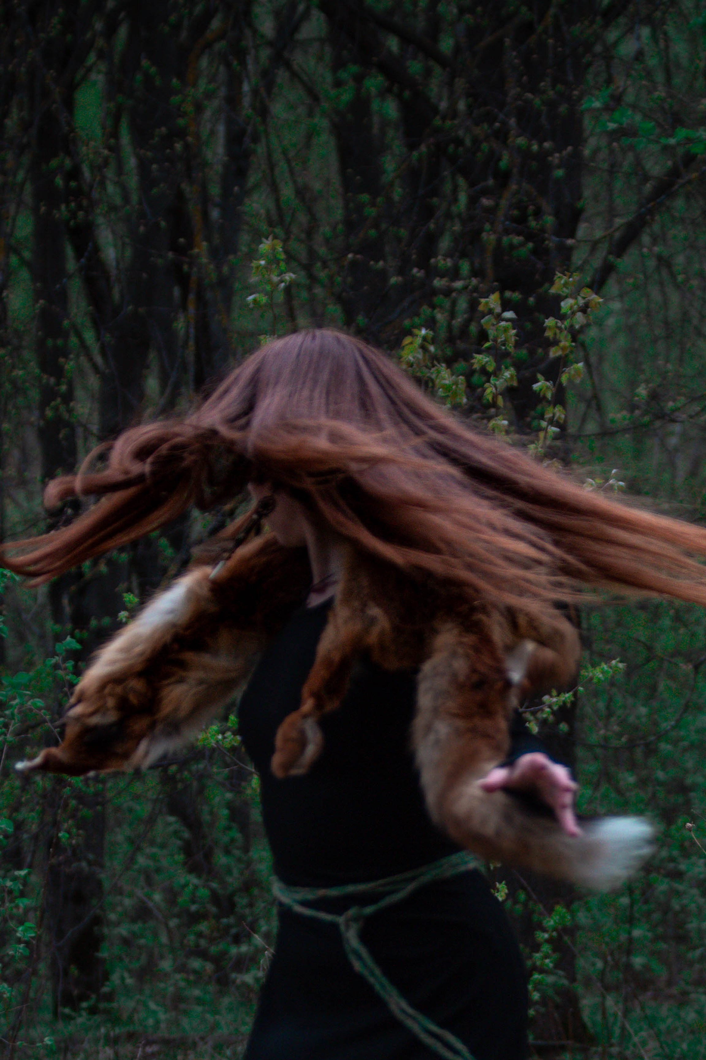 Художественные фотосессии Тула. Фотограф анималист — Тула, Москва