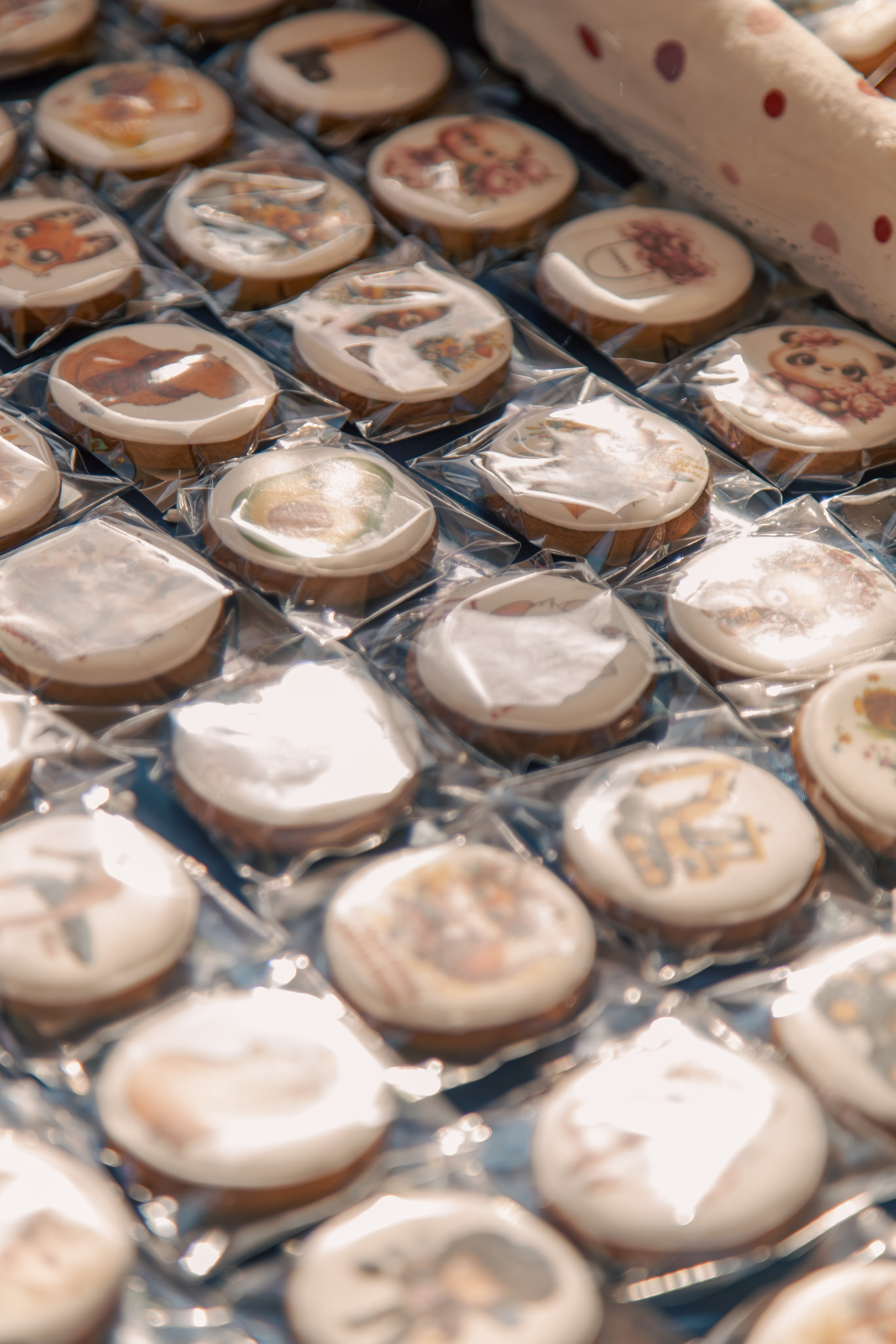 Закрытие масленицы «ДВ Каникулы». МЕДИА-РЕСУРС ХАБАРОВСК / Фотоотчеты / Репортажи / События