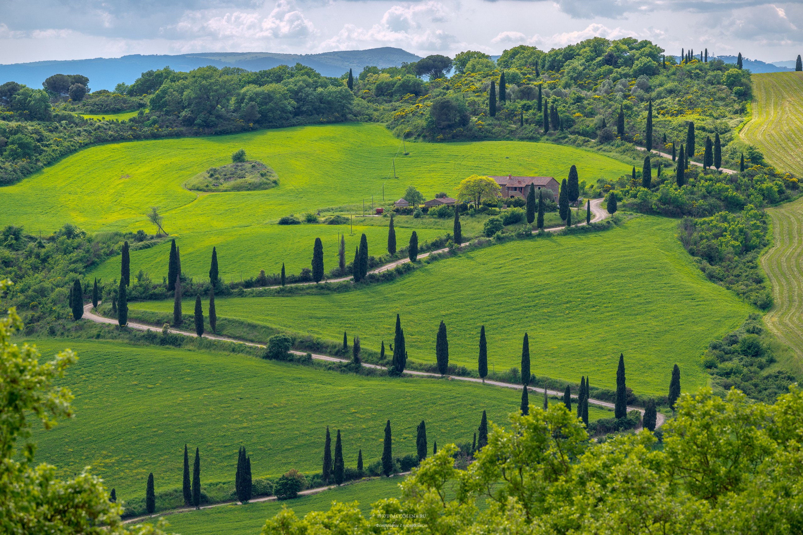 Великолепная Тоскана. Авторские стильные фотокартины