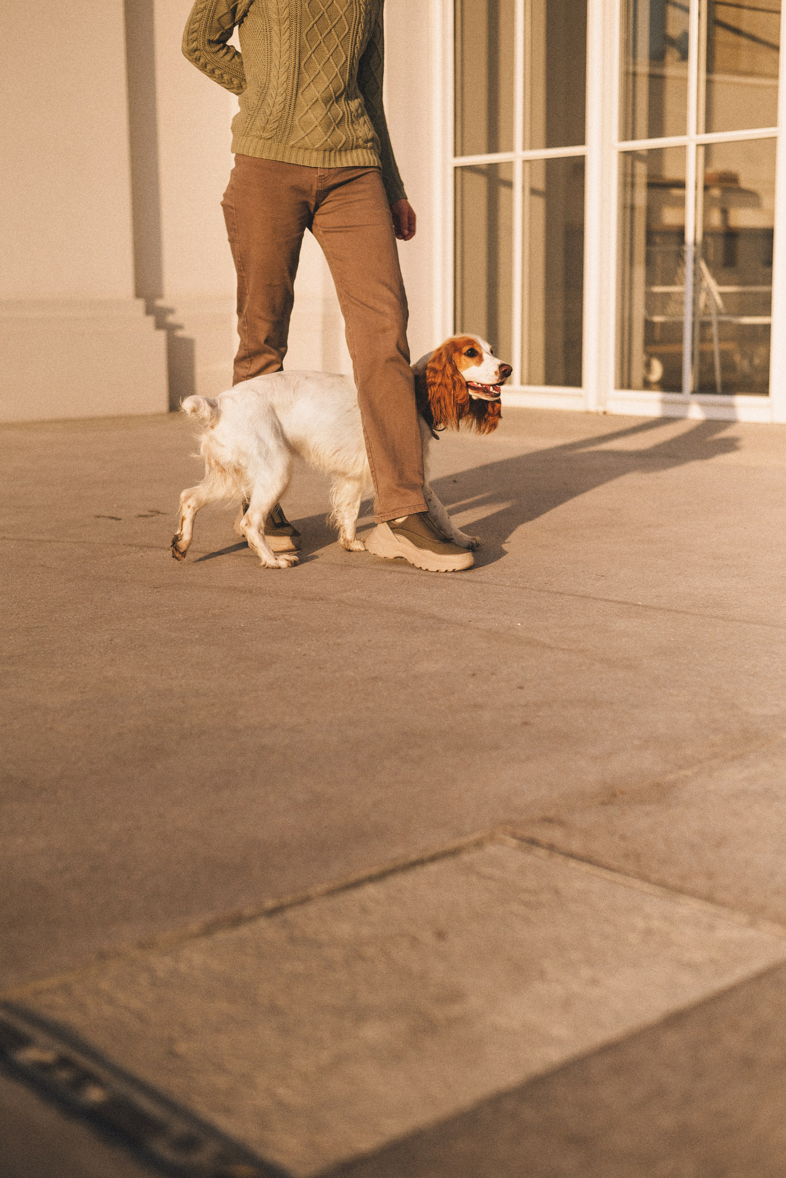 Маша и Вега. Фотограф-анималист Богданова Полина