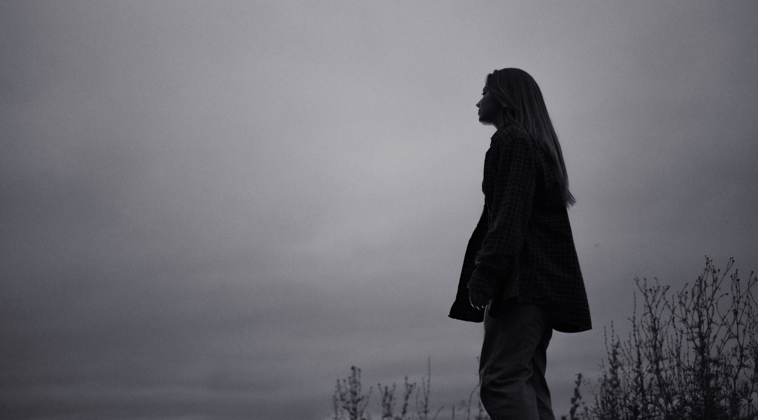 Аделя, Вандер, Шайна и Бая. Фотограф-анималист Богданова Полина