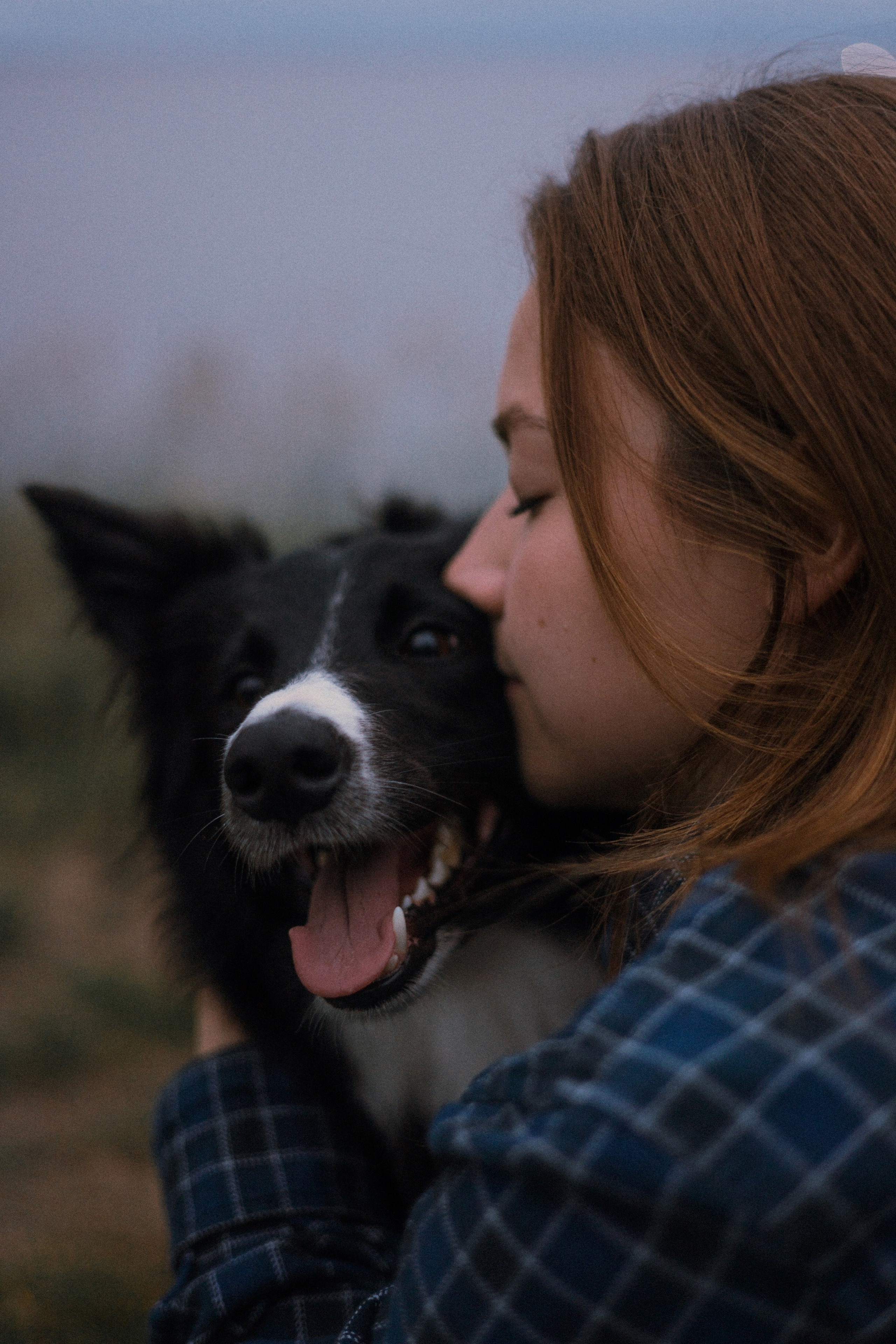 Аделя, Вандер, Шайна и Бая. Фотограф-анималист Богданова Полина