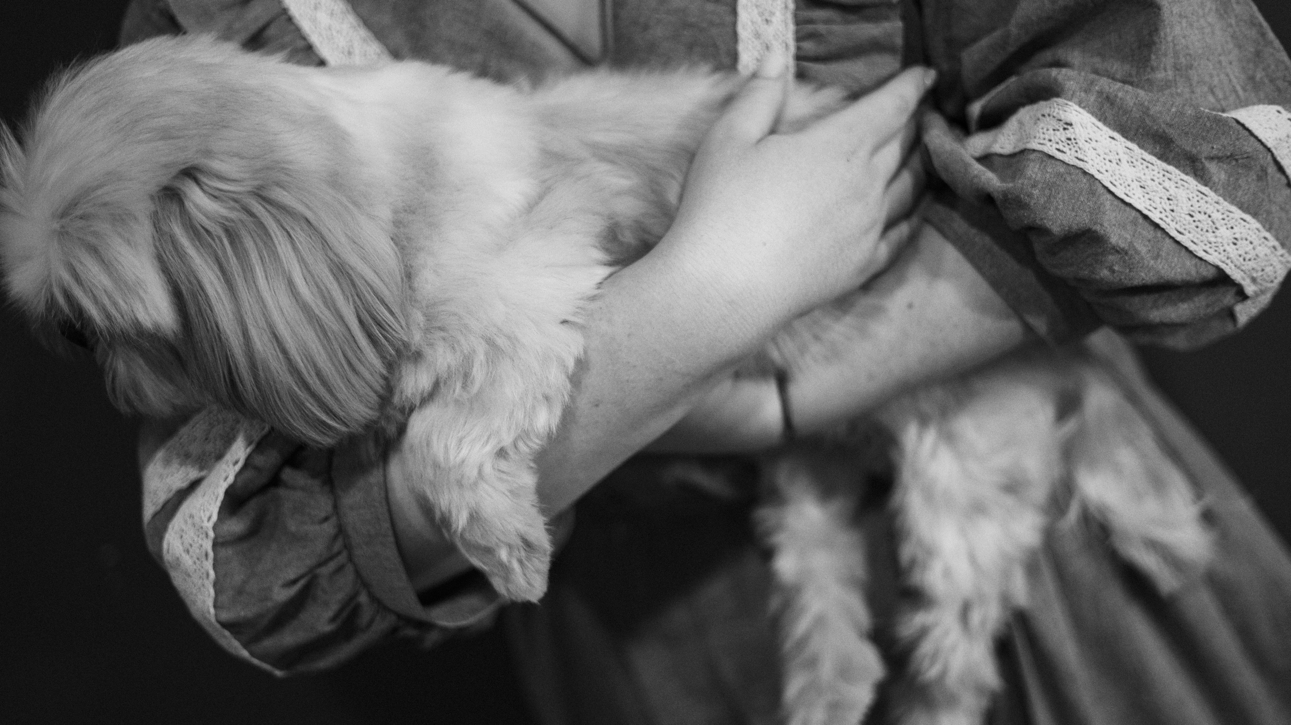 Ирина и Винни. Фотограф-анималист Богданова Полина