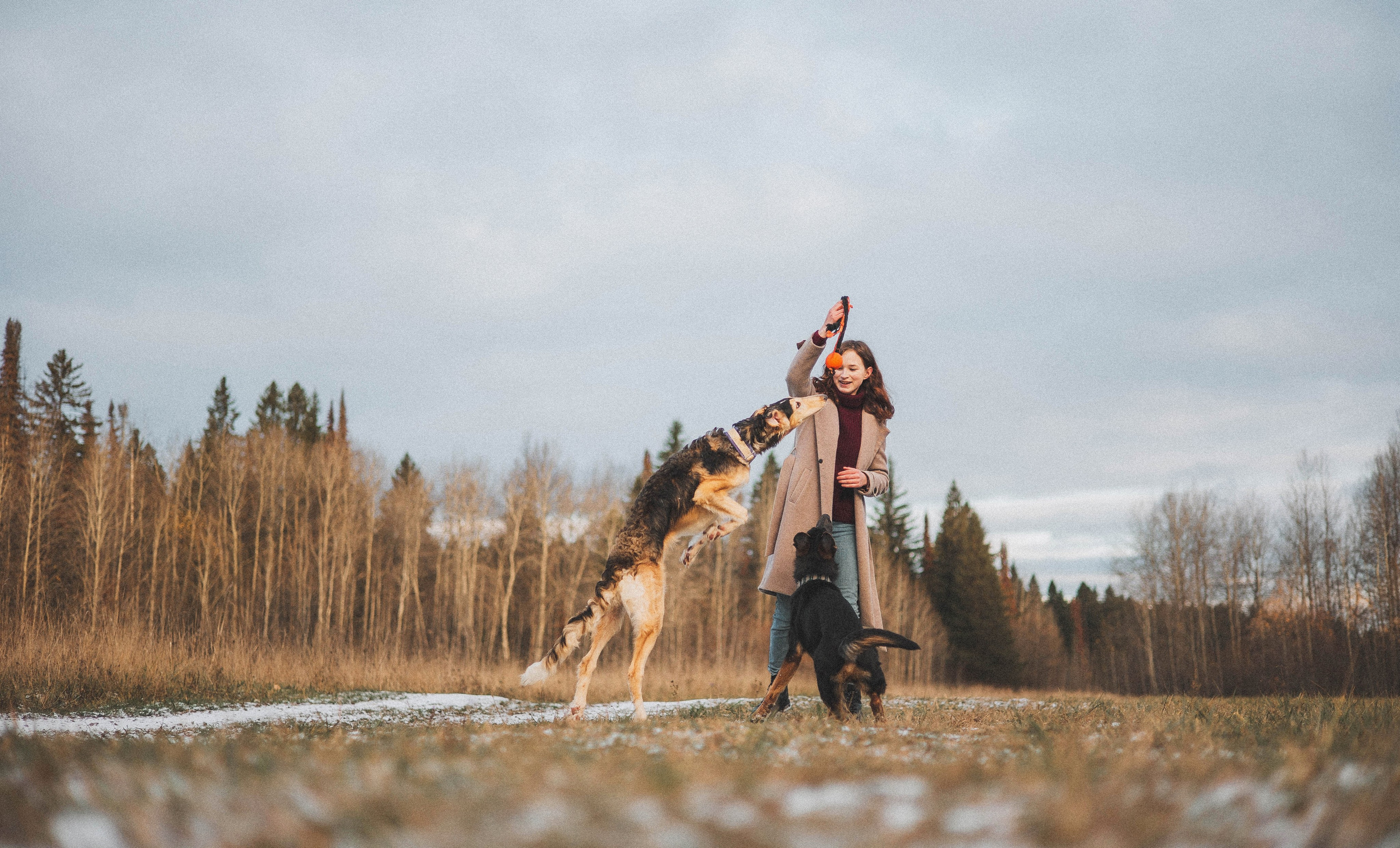 Алена, Леви и Микаса. Фотограф-анималист Богданова Полина