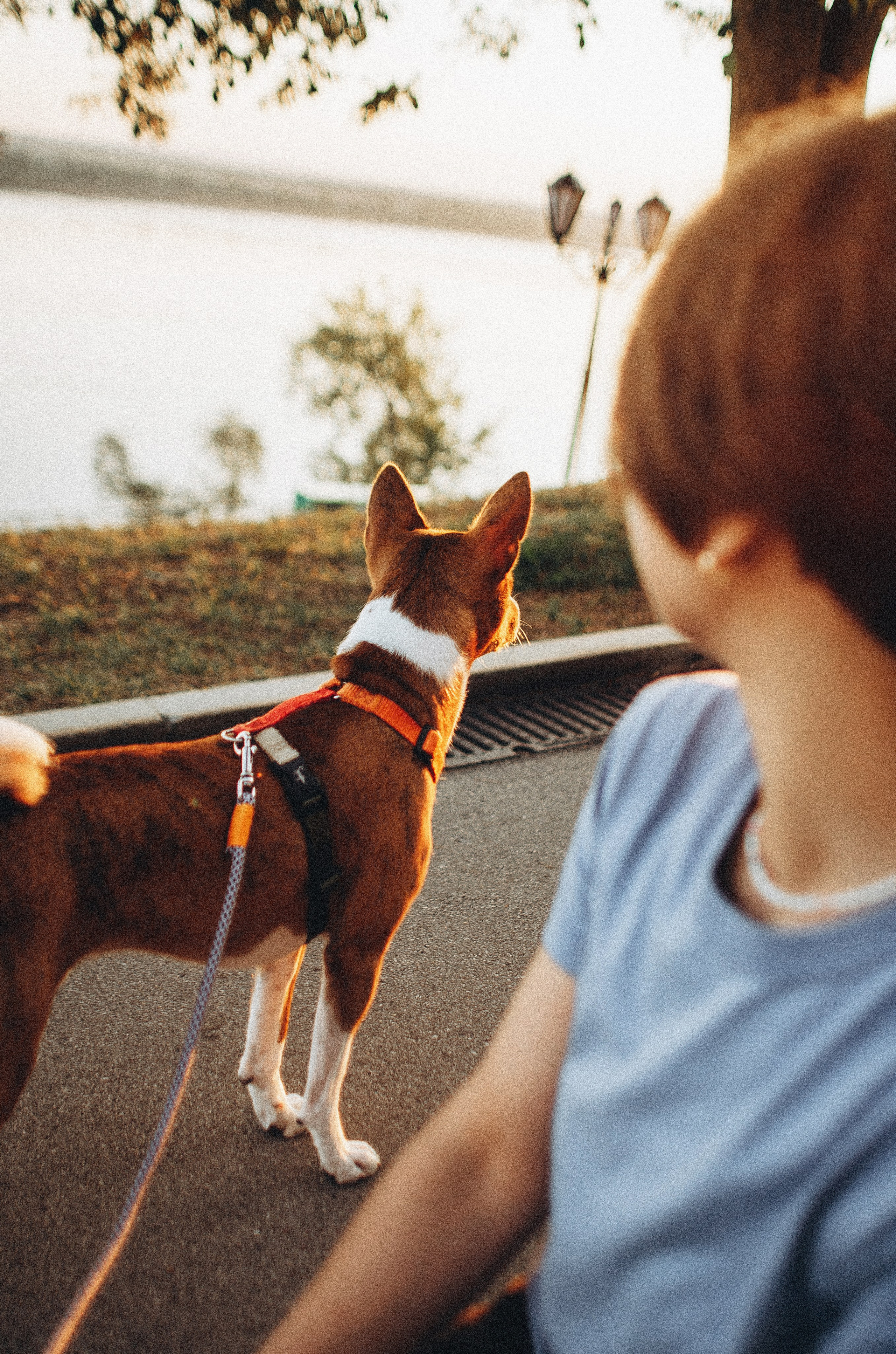Снежана и Мэнни. Фотограф-анималист Богданова Полина