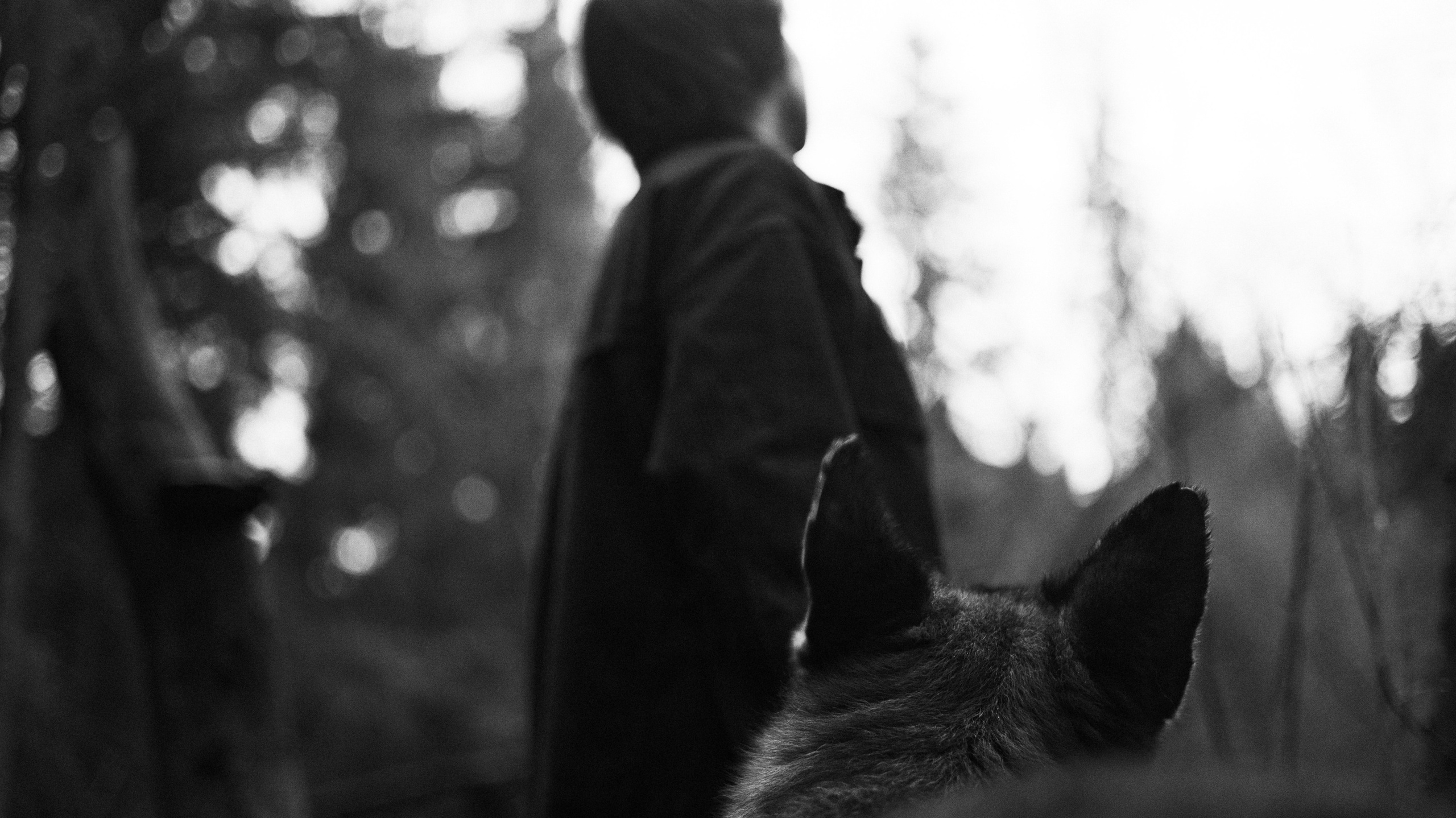 Лера и Ральф. Фотограф-анималист Богданова Полина