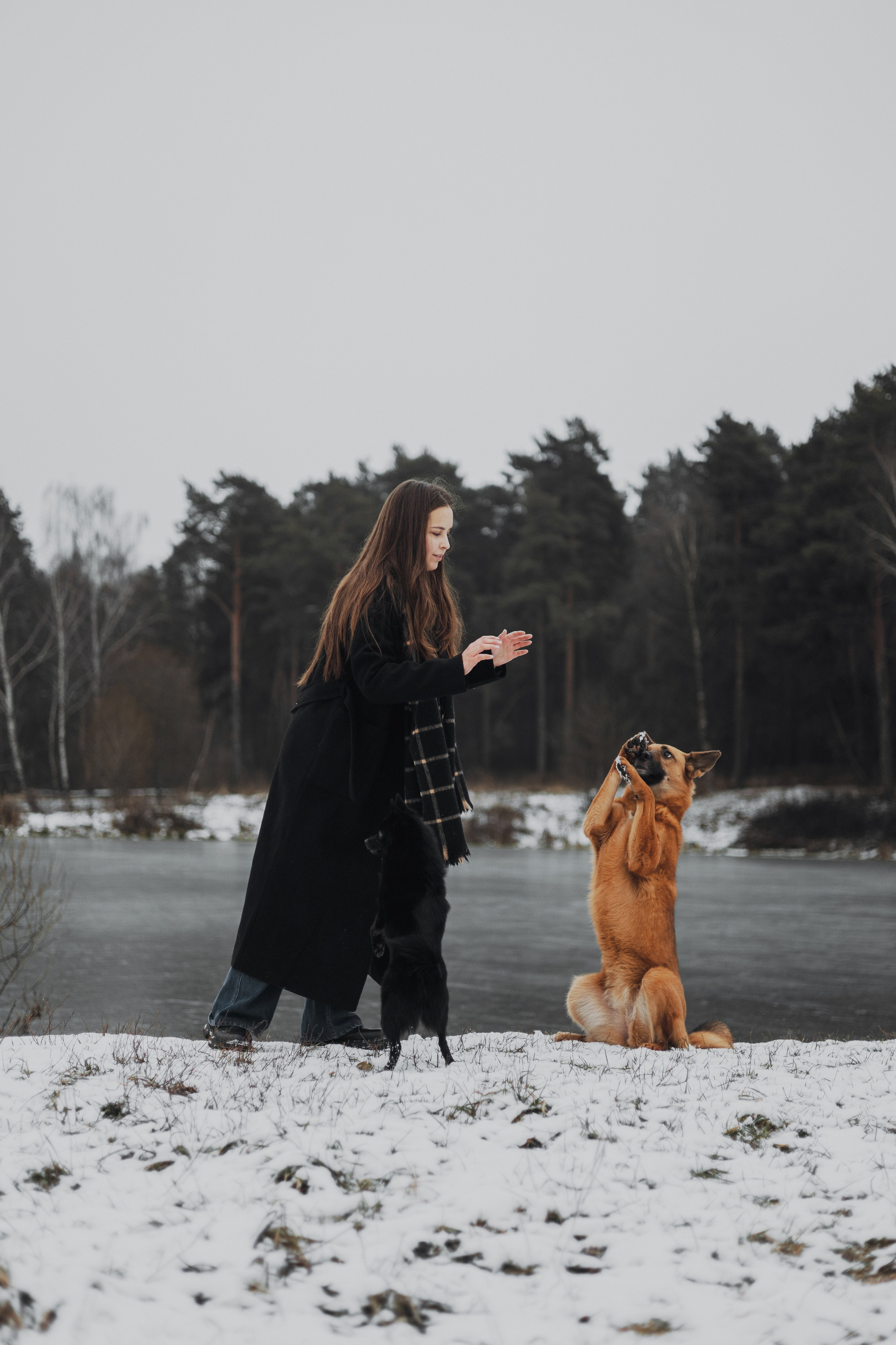 Юля, Лара и Йоми. Фотограф-анималист Богданова Полина