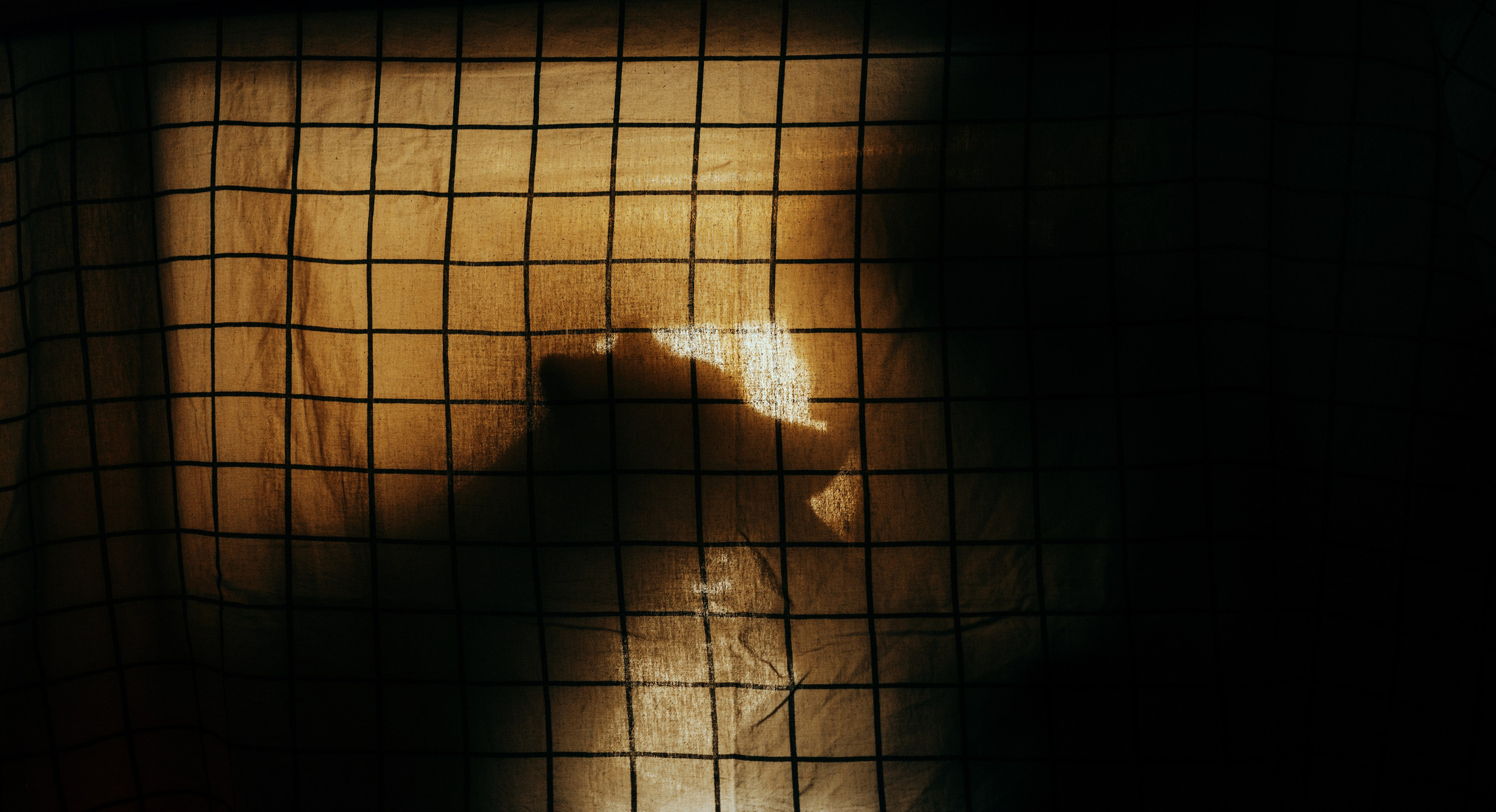 Аня и Дэймон. Фотограф-анималист Богданова Полина