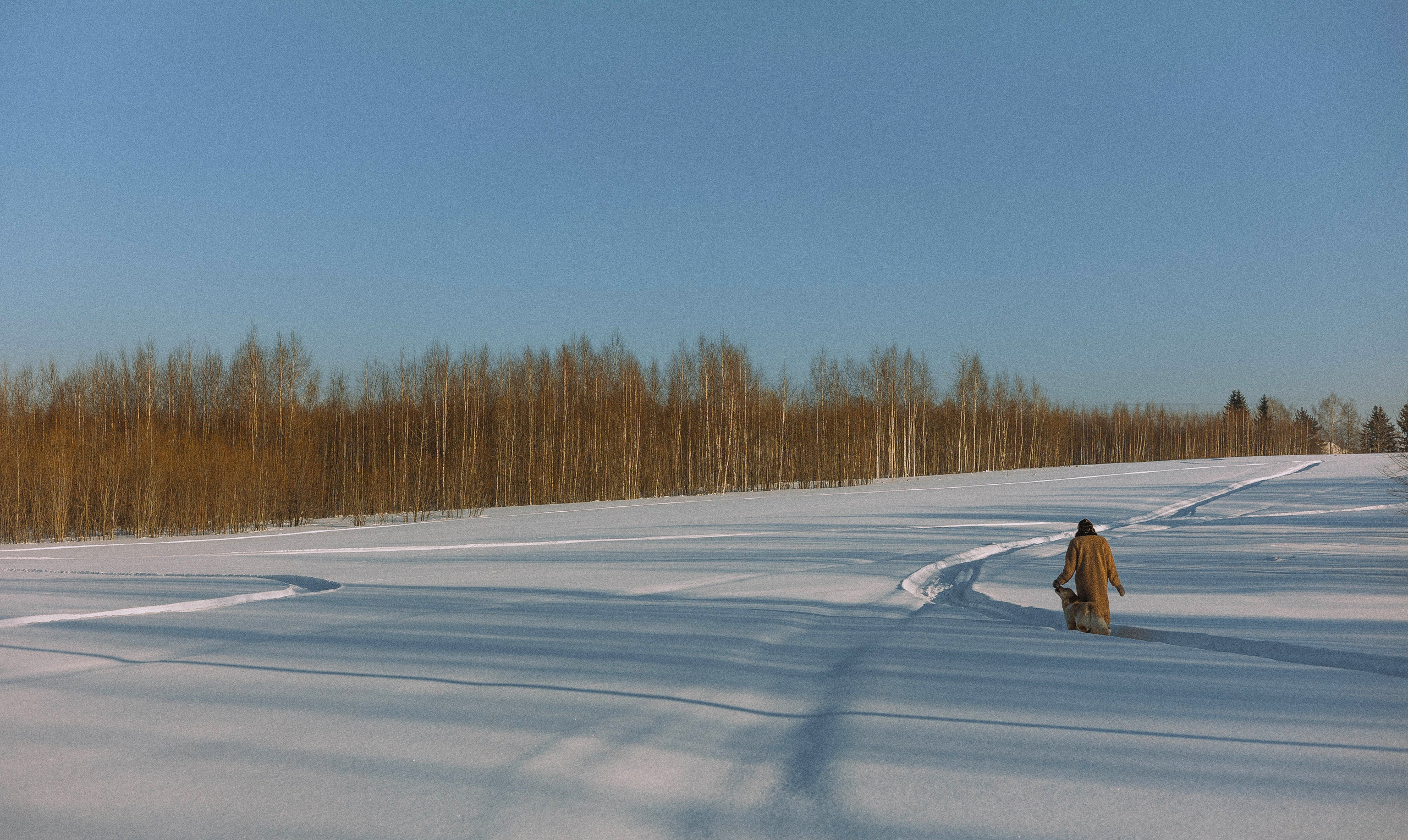 Лена и Декстер. Фотограф-анималист Богданова Полина