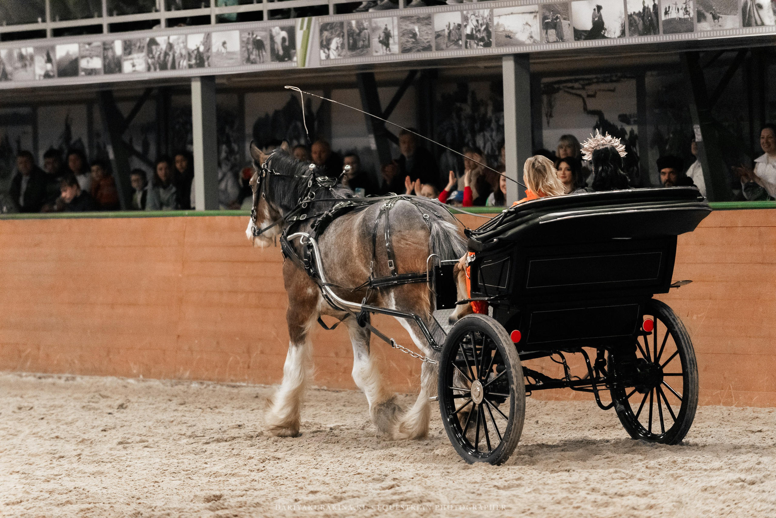 Конное представление «Дыхание Звёзд». Конный фотограф Куракина Дарья • Фотосессии с лошадьми