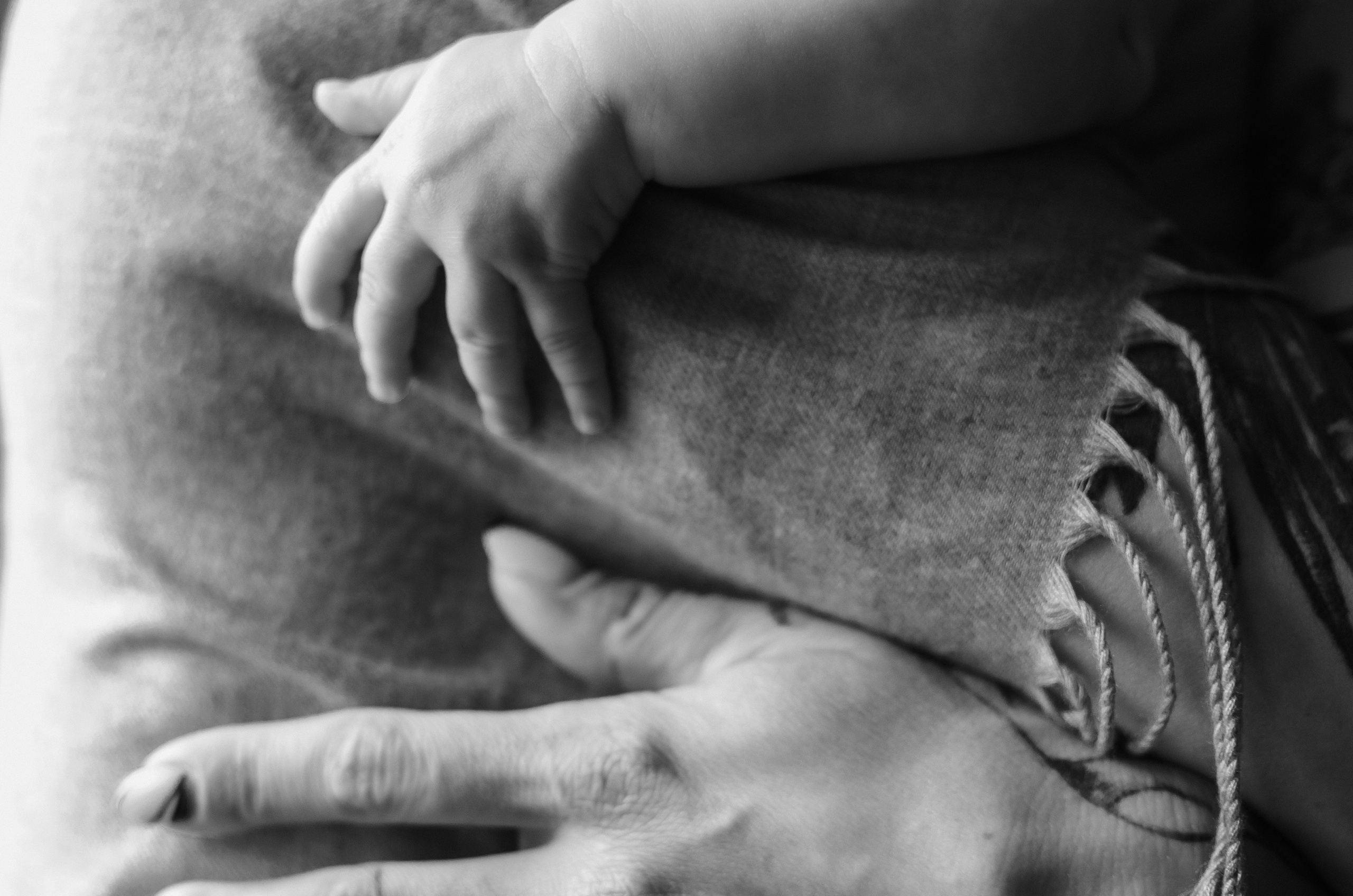 Анна И Софи