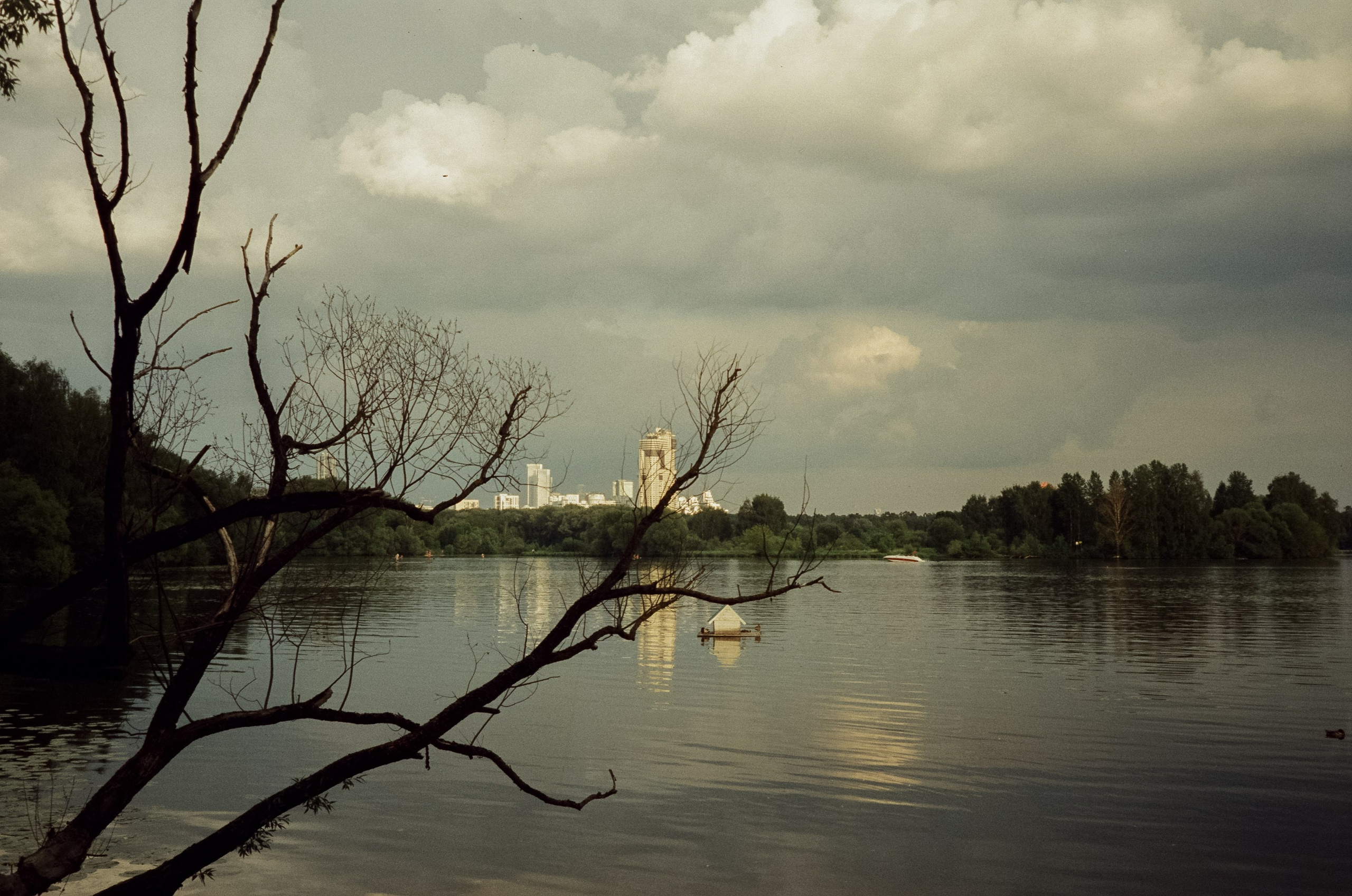 Agfa Optima Sensor 1035 / SFL 250D / тестовая пленка Строгино у речки