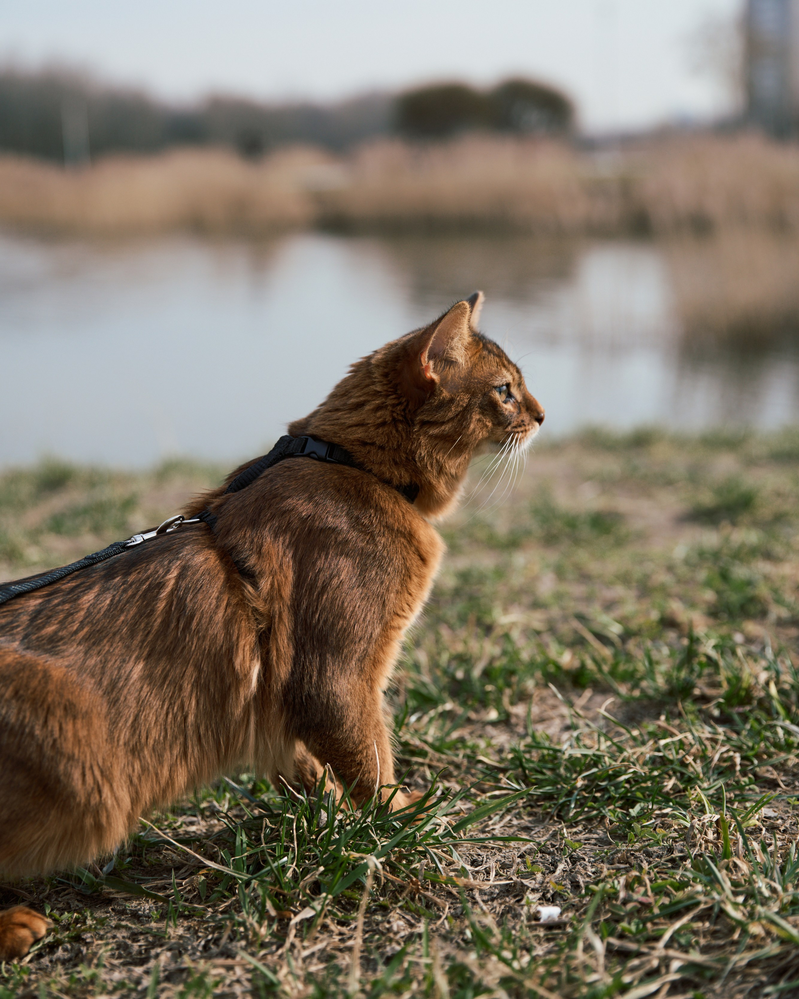 Rufus. Творческий фотограф в Санкт-Петербурге — Никита Шохенмайер