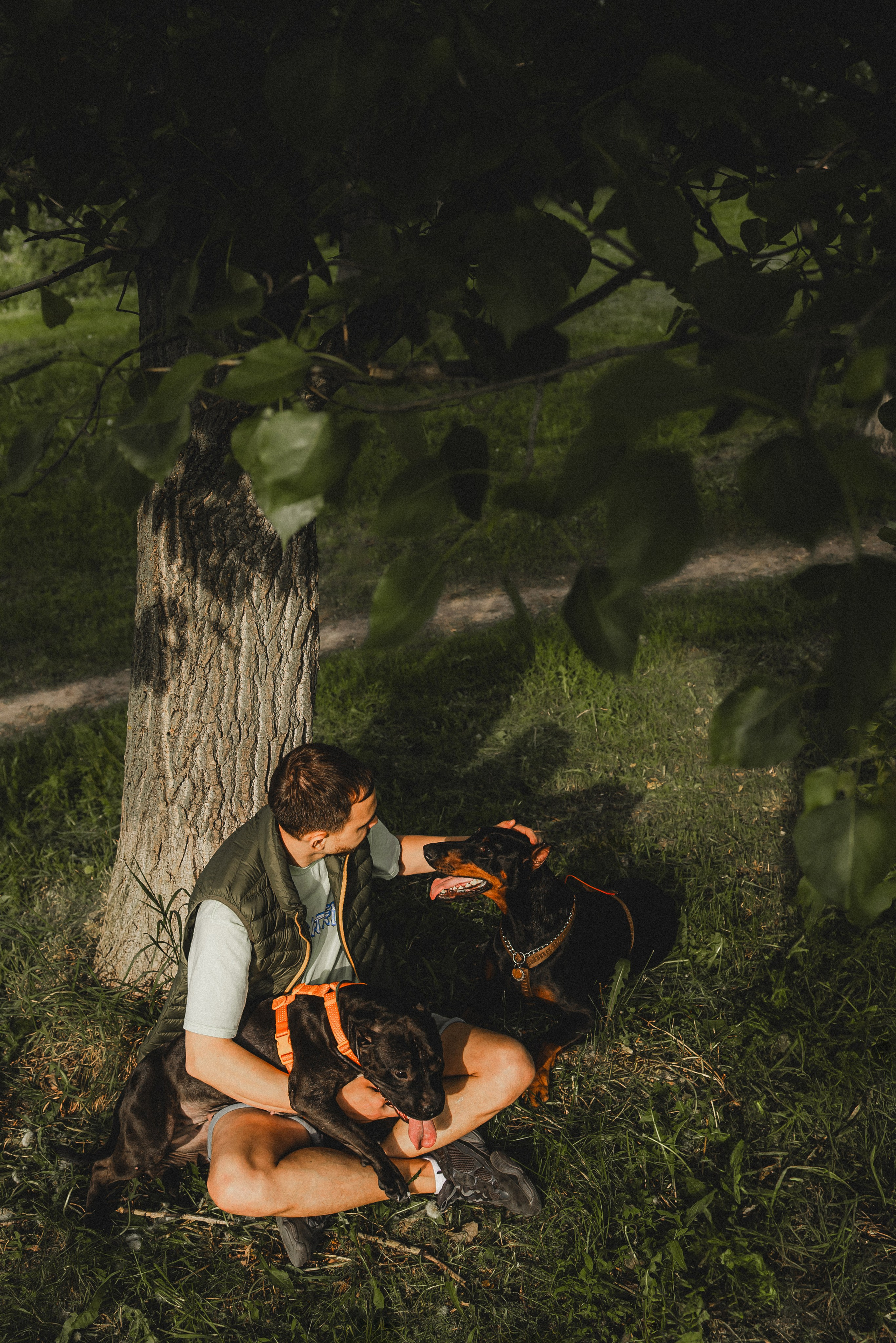 Паша, Хайди и Тея