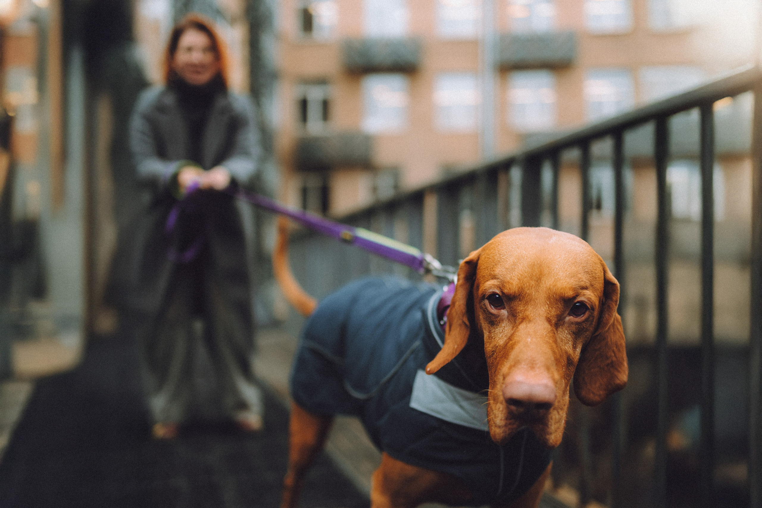 Екатерина и Даня