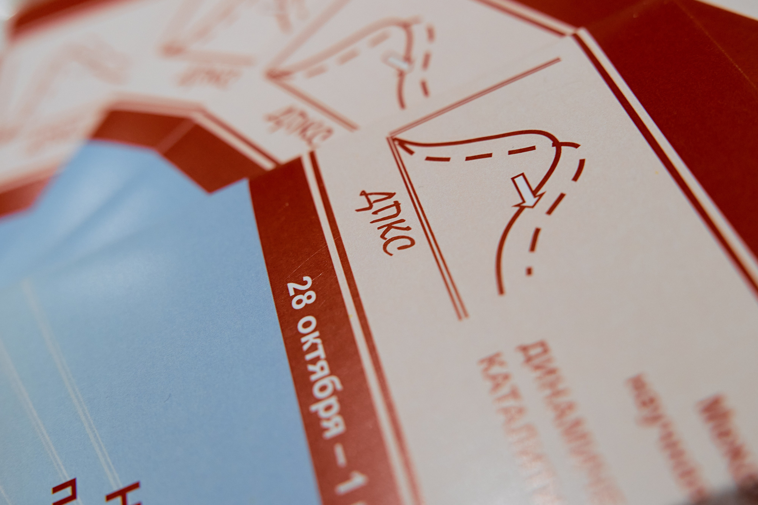 ДПКС-2024. Фотограф Новосибирск I Дамдинов Бато