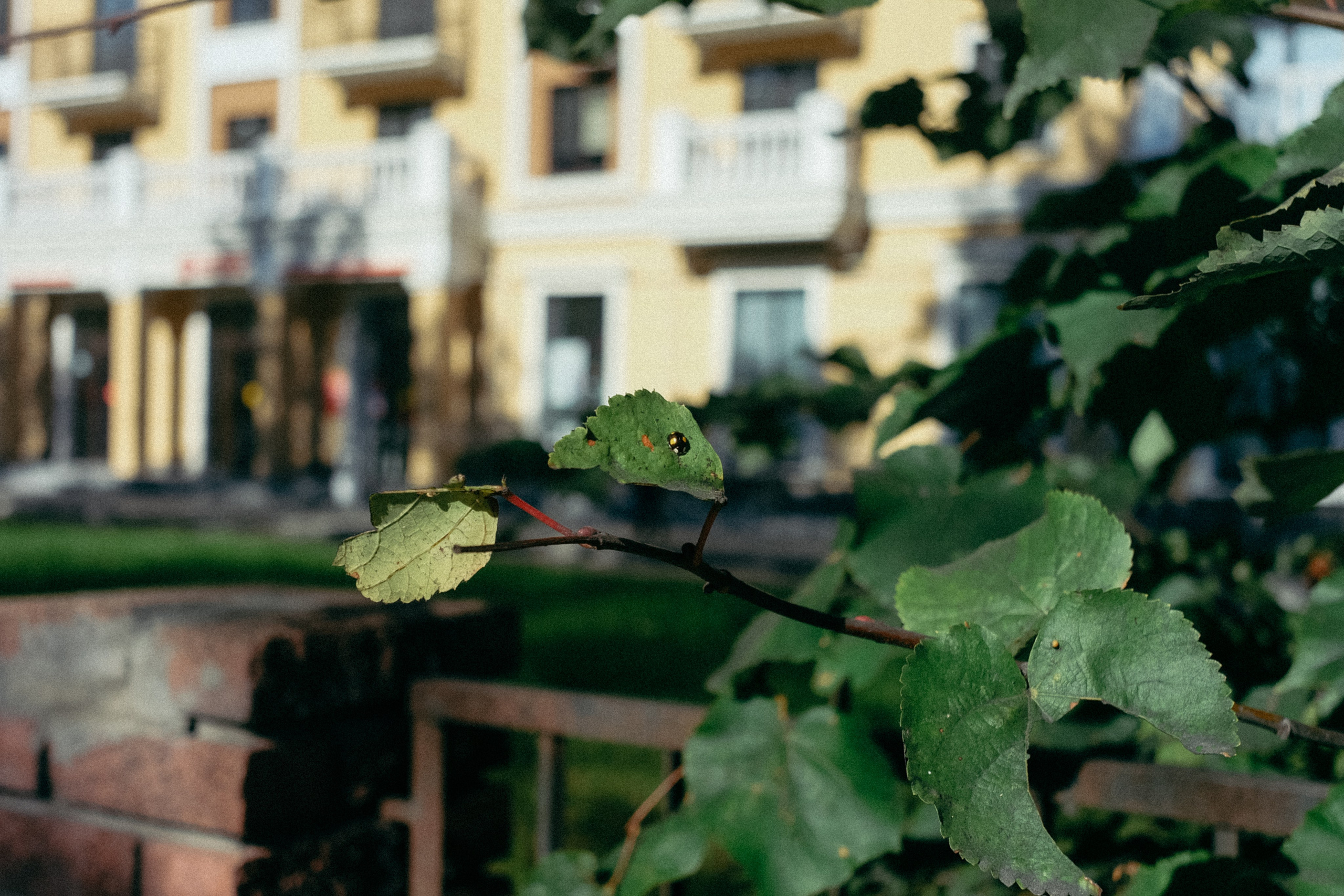 Осень. Фотограф Мурманск | Нижний Новгород • Анна Хижняк