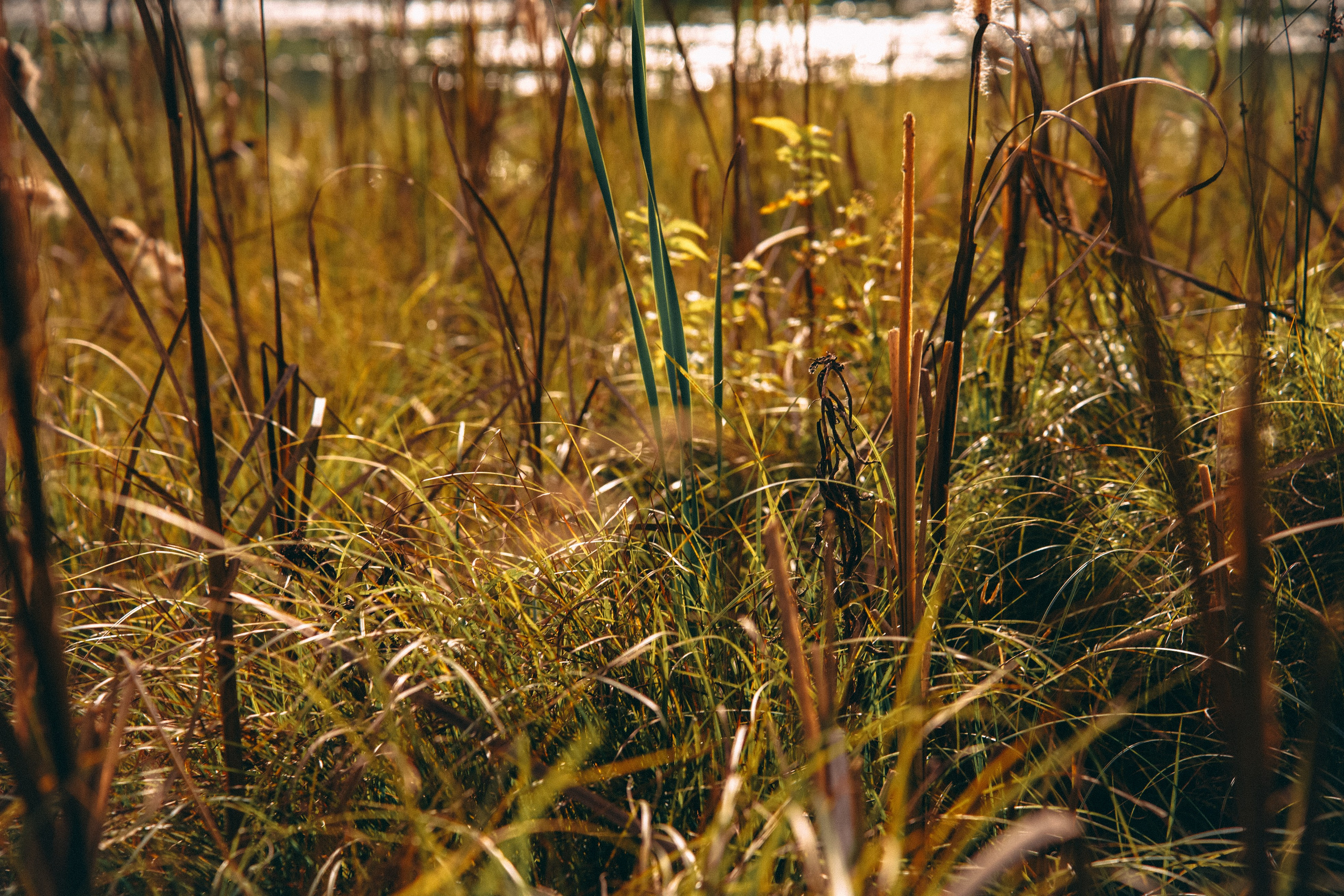 Осень 2025. Фотограф из Москвы — DASHA NOVA | Авторская фотография в разных жанрах
