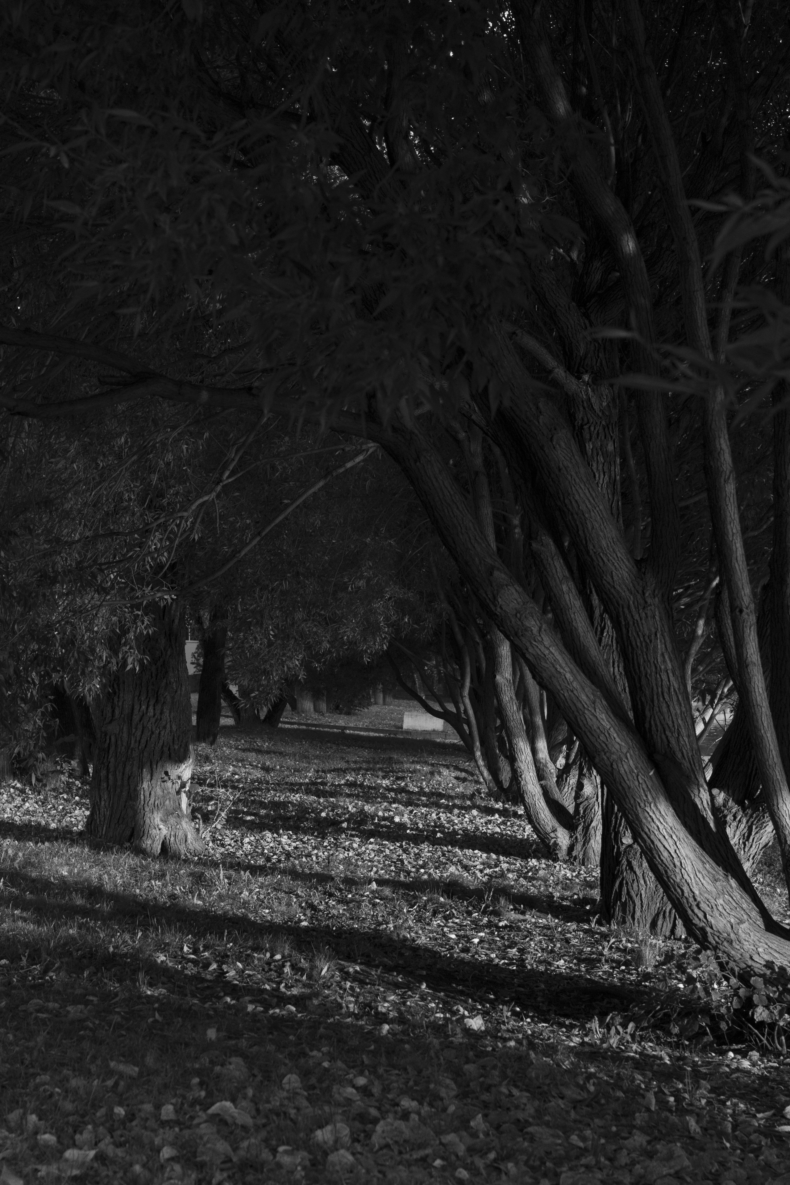 Прогулка по Екатеринбургу. Денис Марков — фотограф в Екатеринбурге