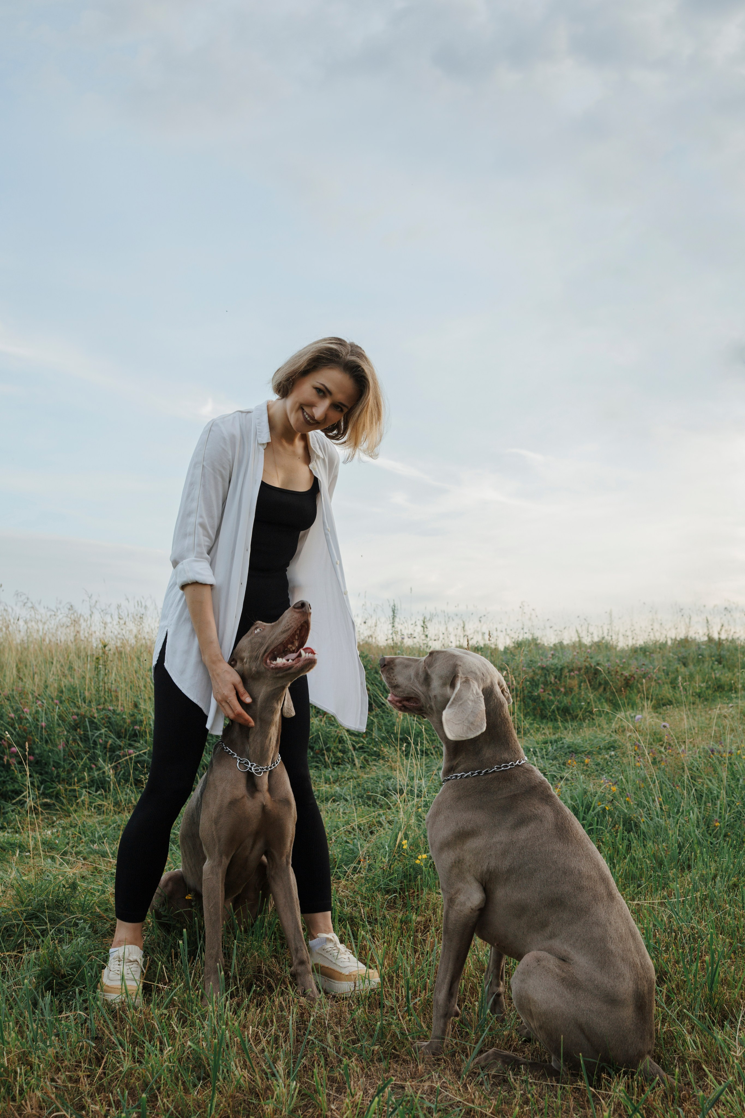 Маргарита и веймаранеры. Фотограф-анималист в Санкт-Петеребурге Титова Алиса