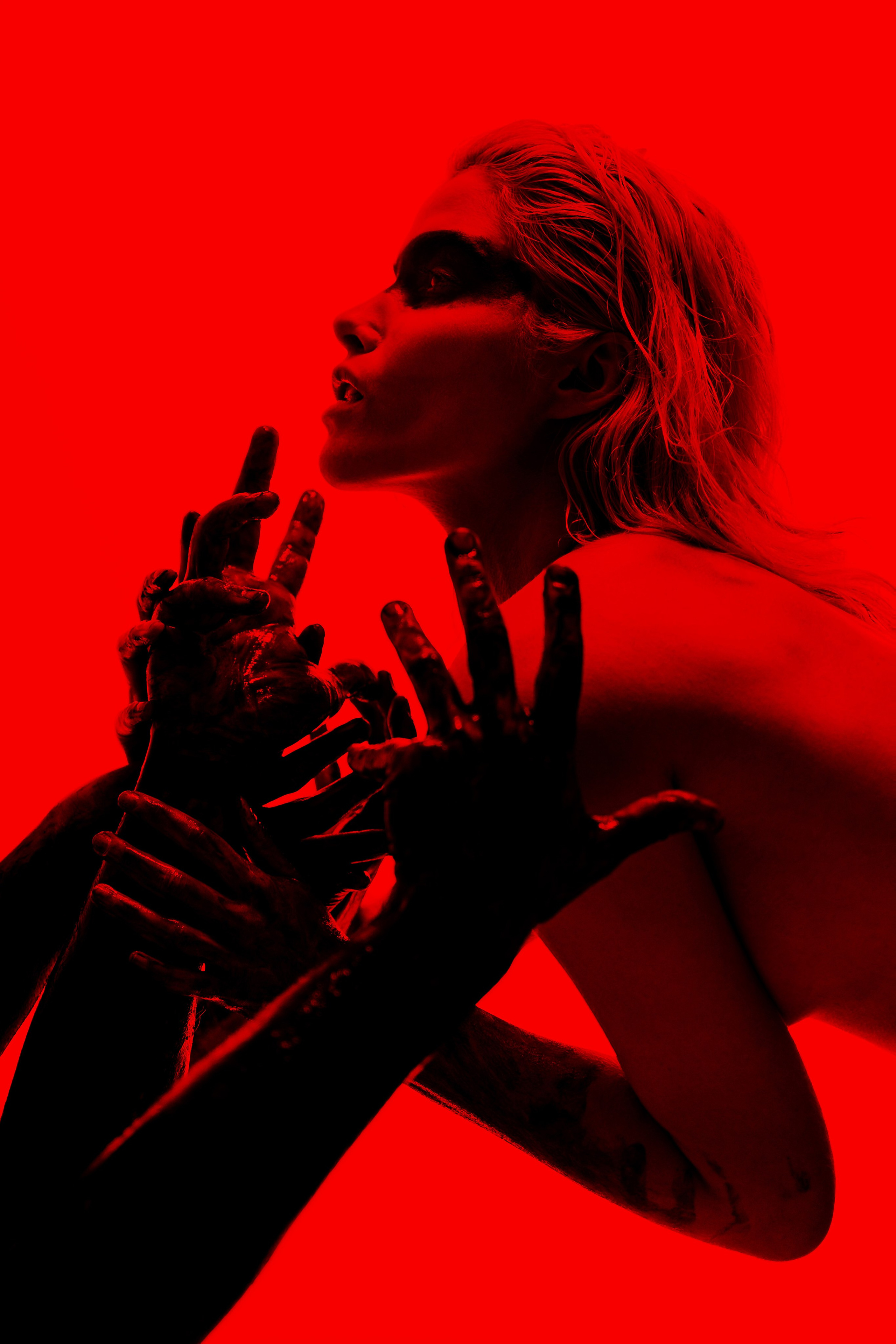 Фотостудия К69