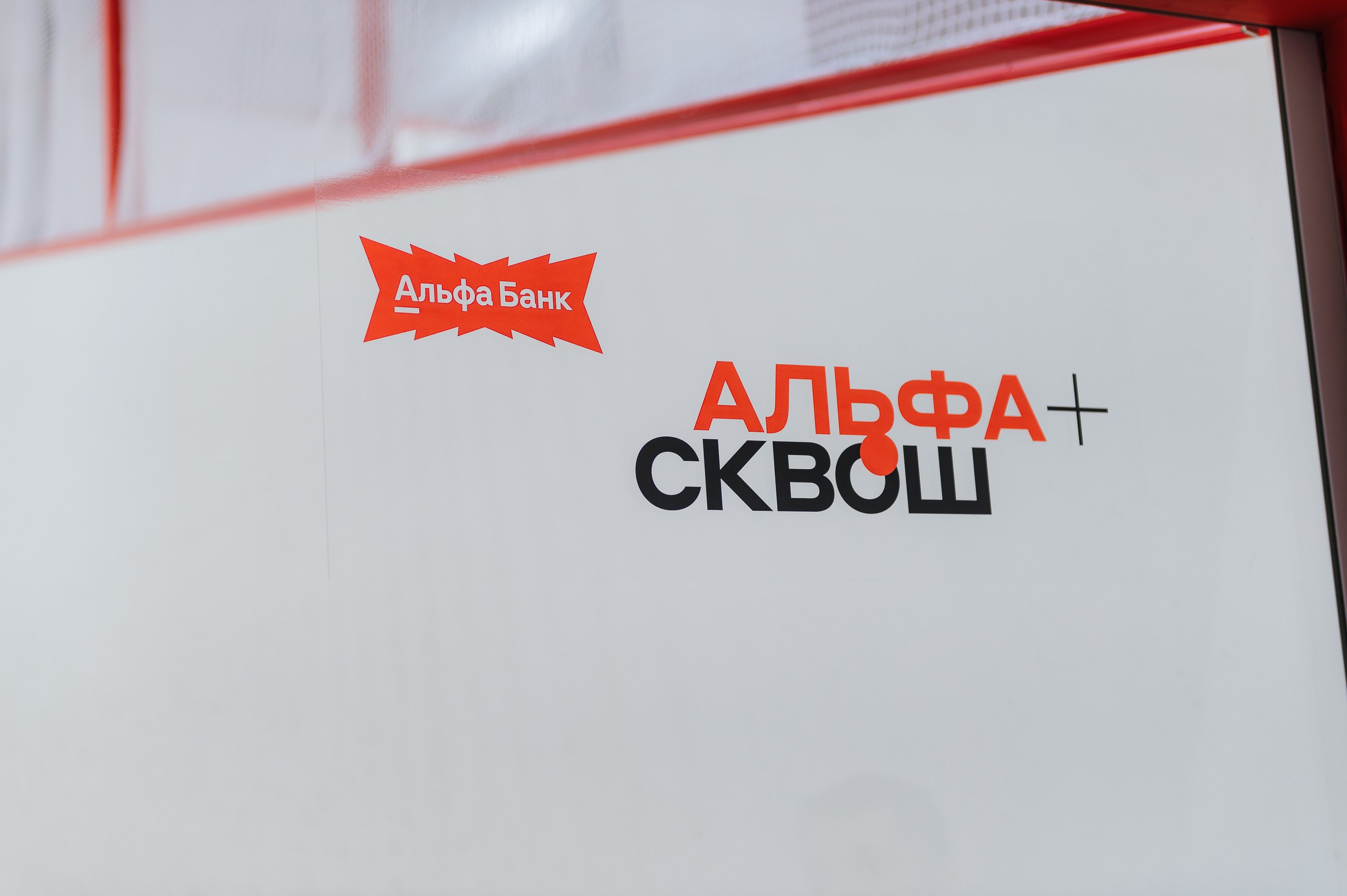 АЛЬФА + СКВОШ 2025. Фотограф в Волгограде Виталий Самойлов