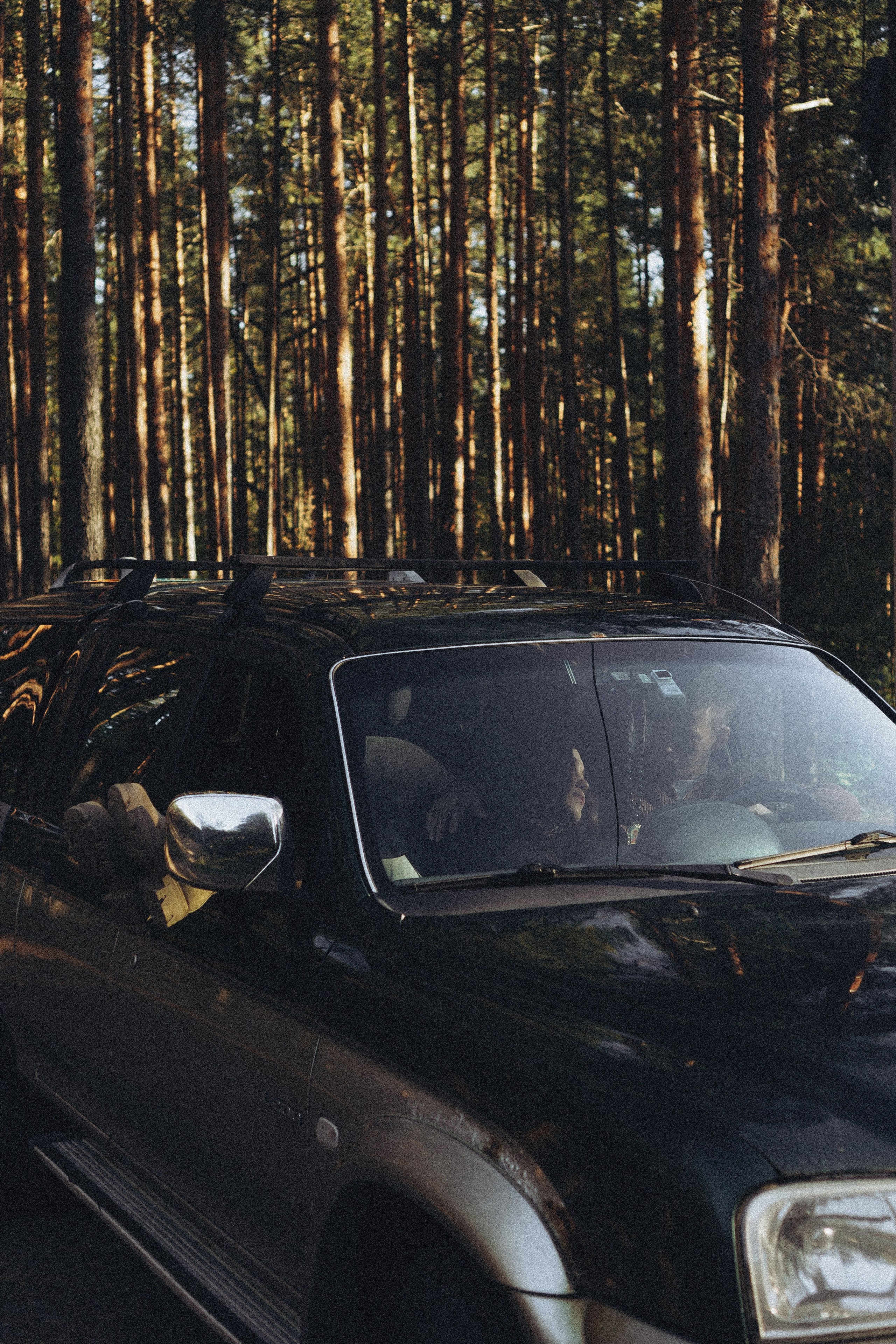 Прогулка по Финскому заливу. Профессиональный фотограф, Санкт-Петербург — Виктория Богомолова