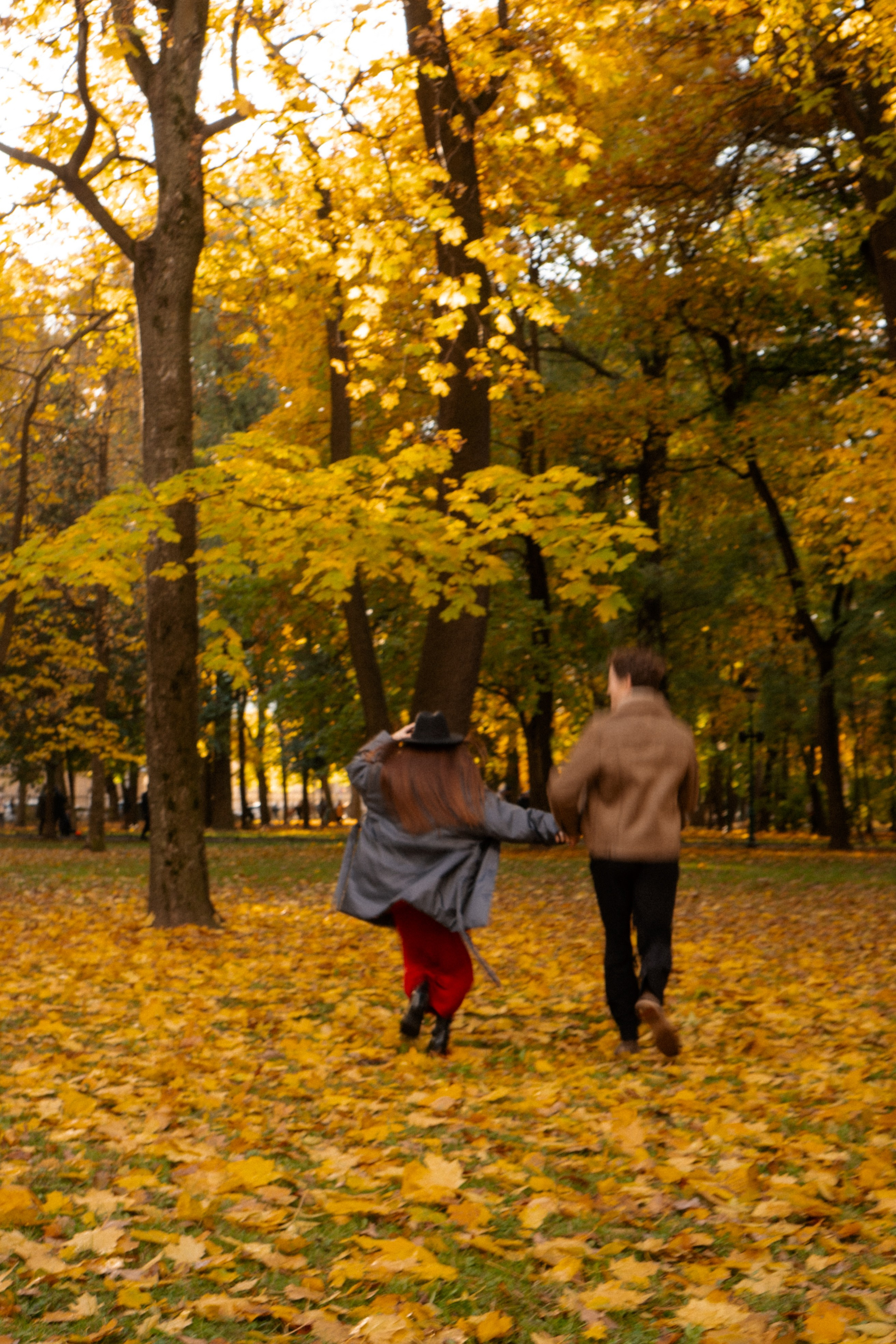 ОСЕННЯЯ ПРОГУЛКА. Профессиональный фотограф, Санкт-Петербург — Виктория Богомолова