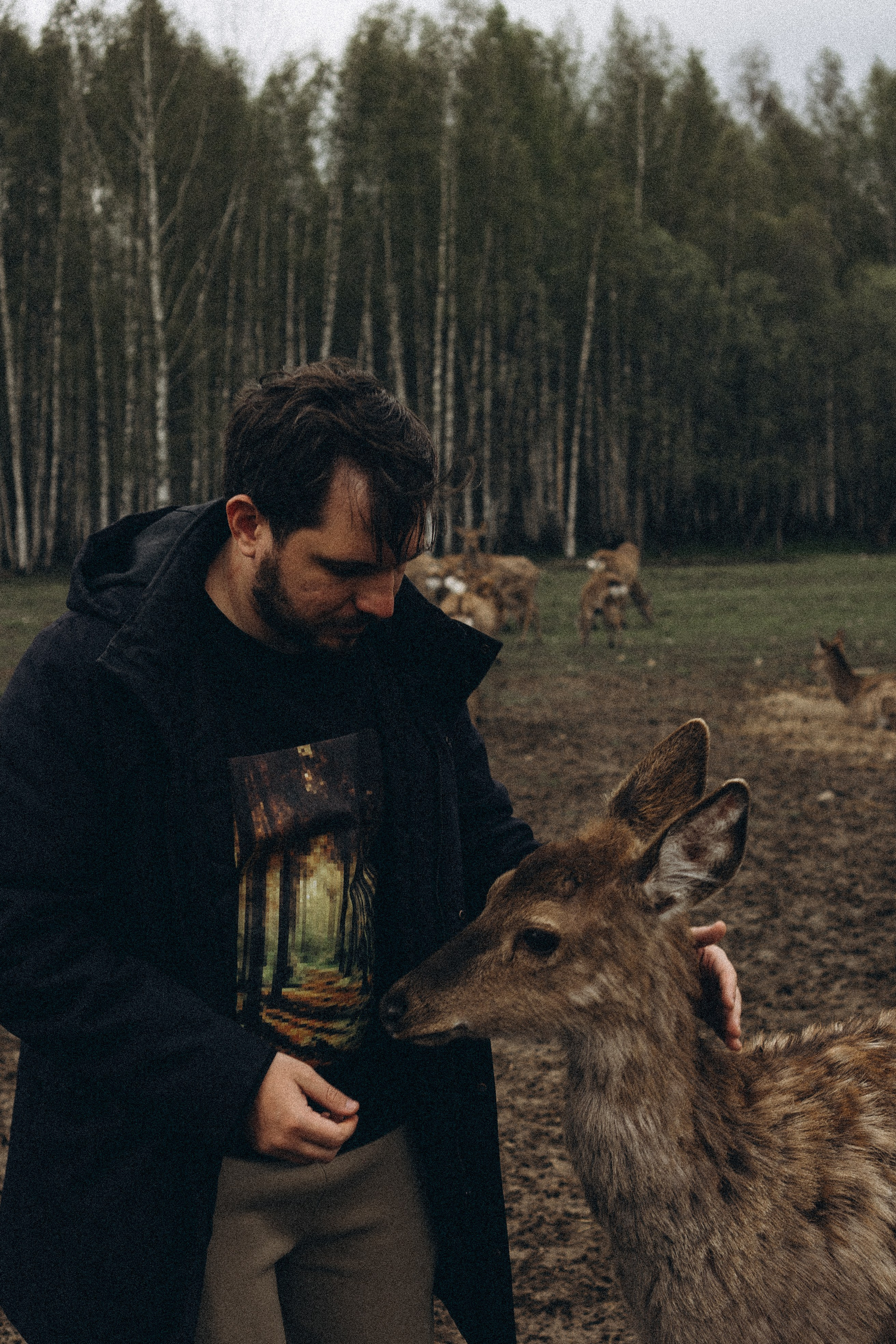 ОЛЕНЬЯ ФЕРМА В ТВЕРИ. Профессиональный фотограф, Санкт-Петербург — Виктория Богомолова