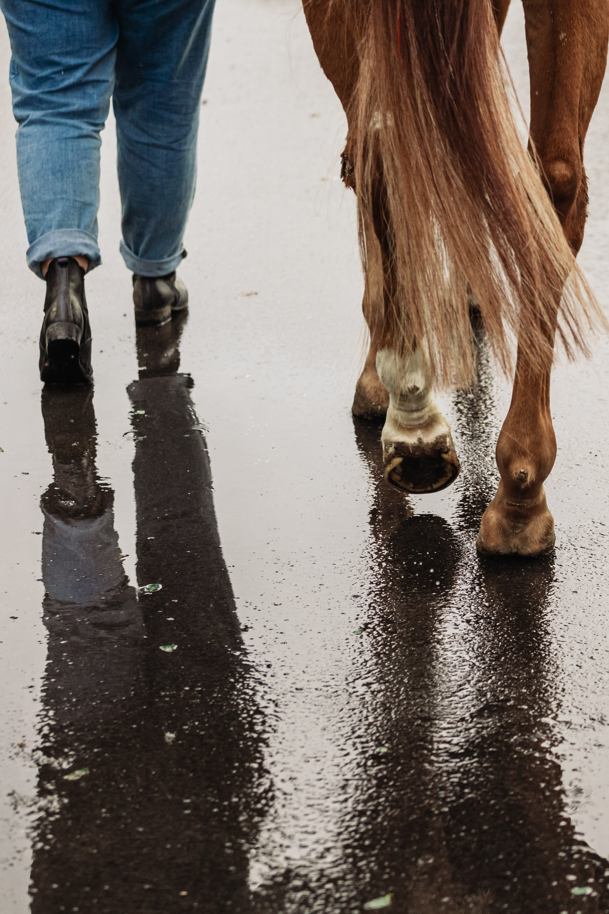 Лена и Рэджи. Фотограф-анималист Татьяна Степанова