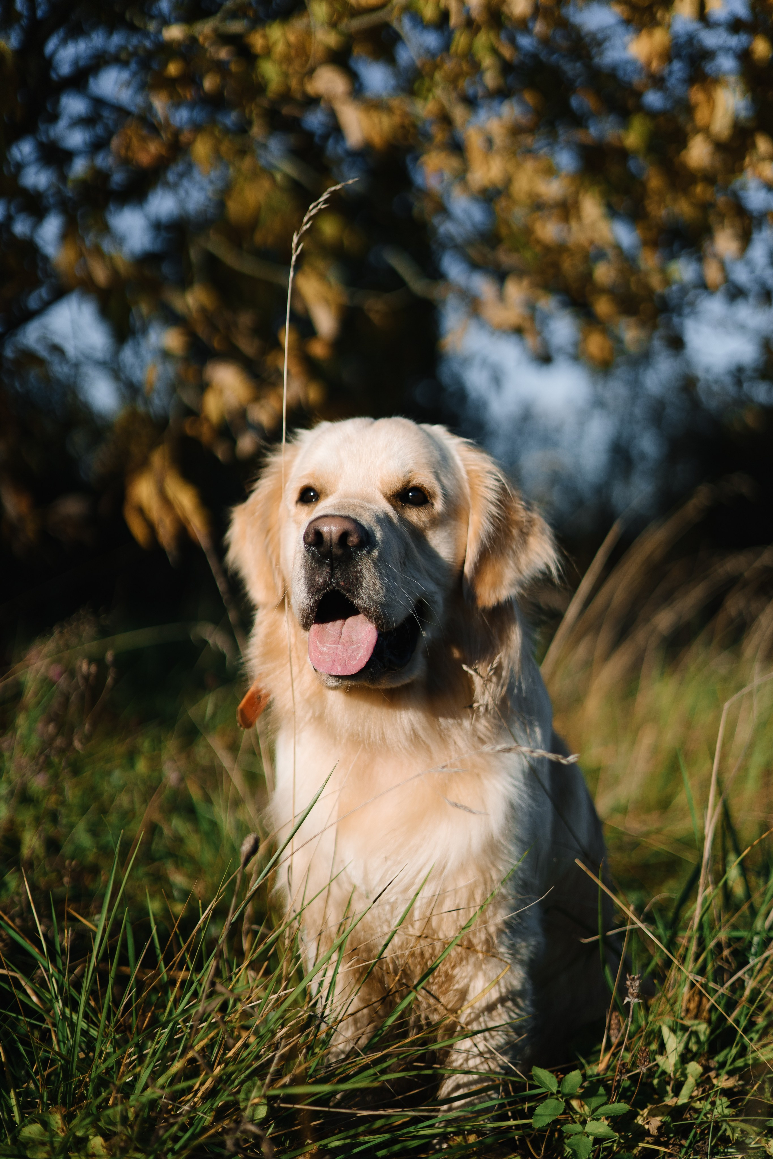 Для охотника