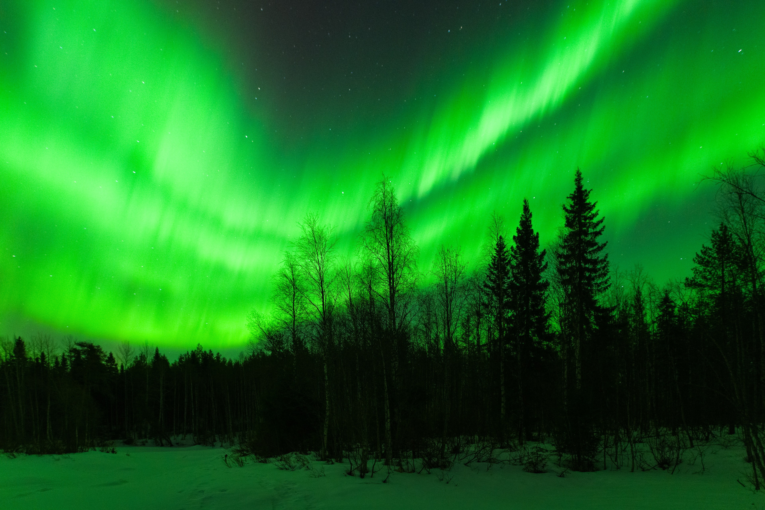 Полярное Сияние. Северные Ночи