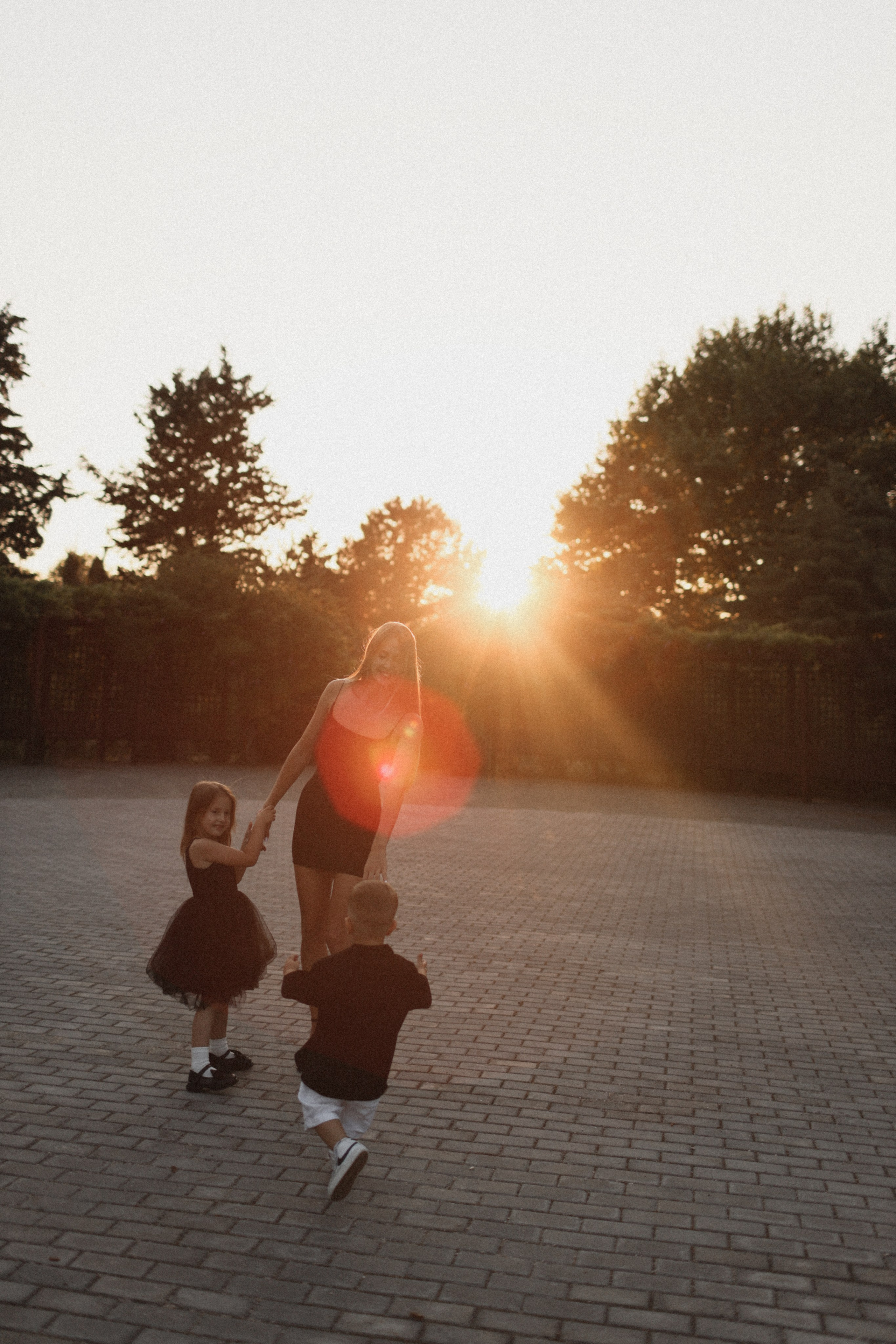 Mushrooms. Фотограф Воронцова Виталия Крым Севастополь