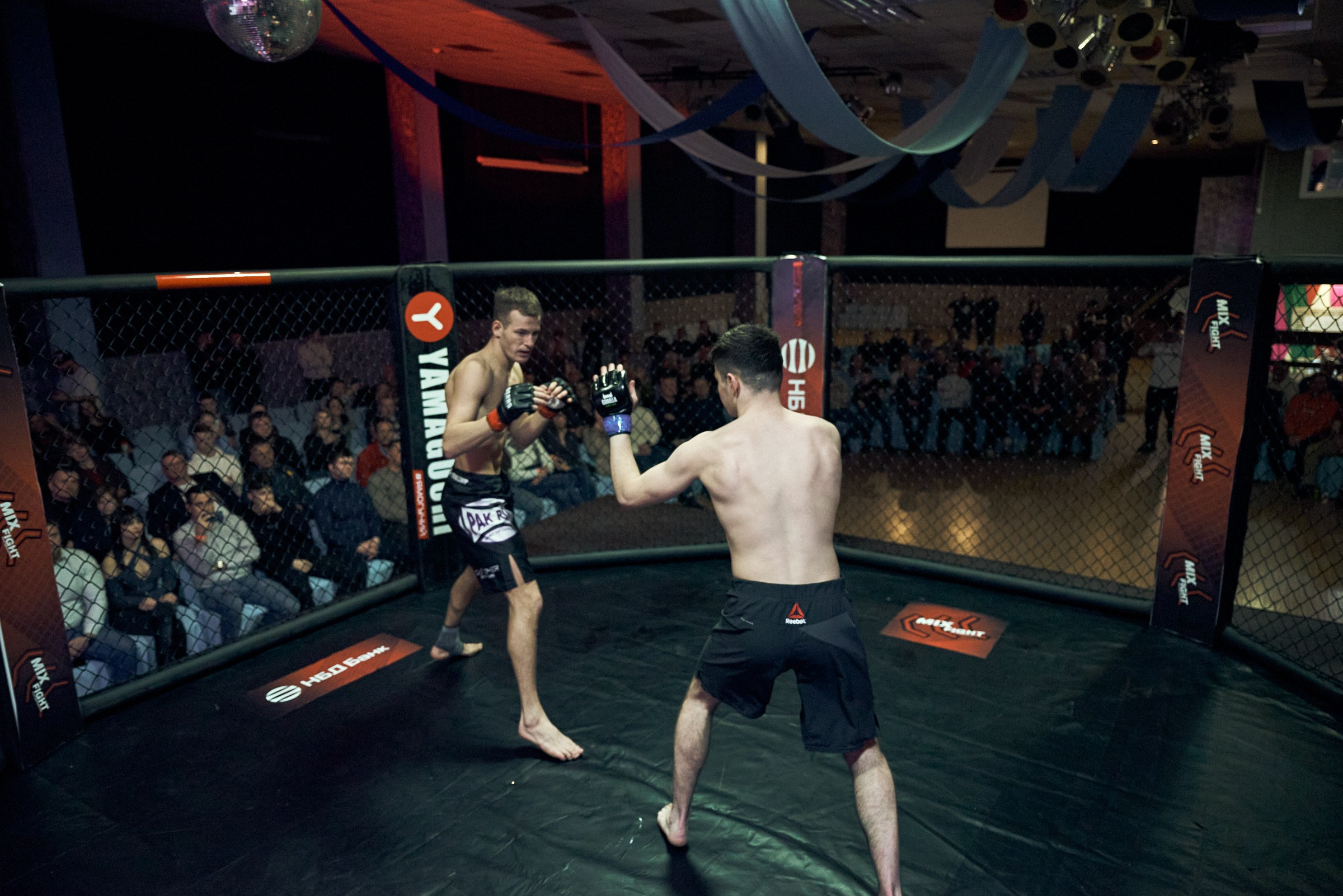 Бои. Маляревич Дмитрий свадебный фотограф