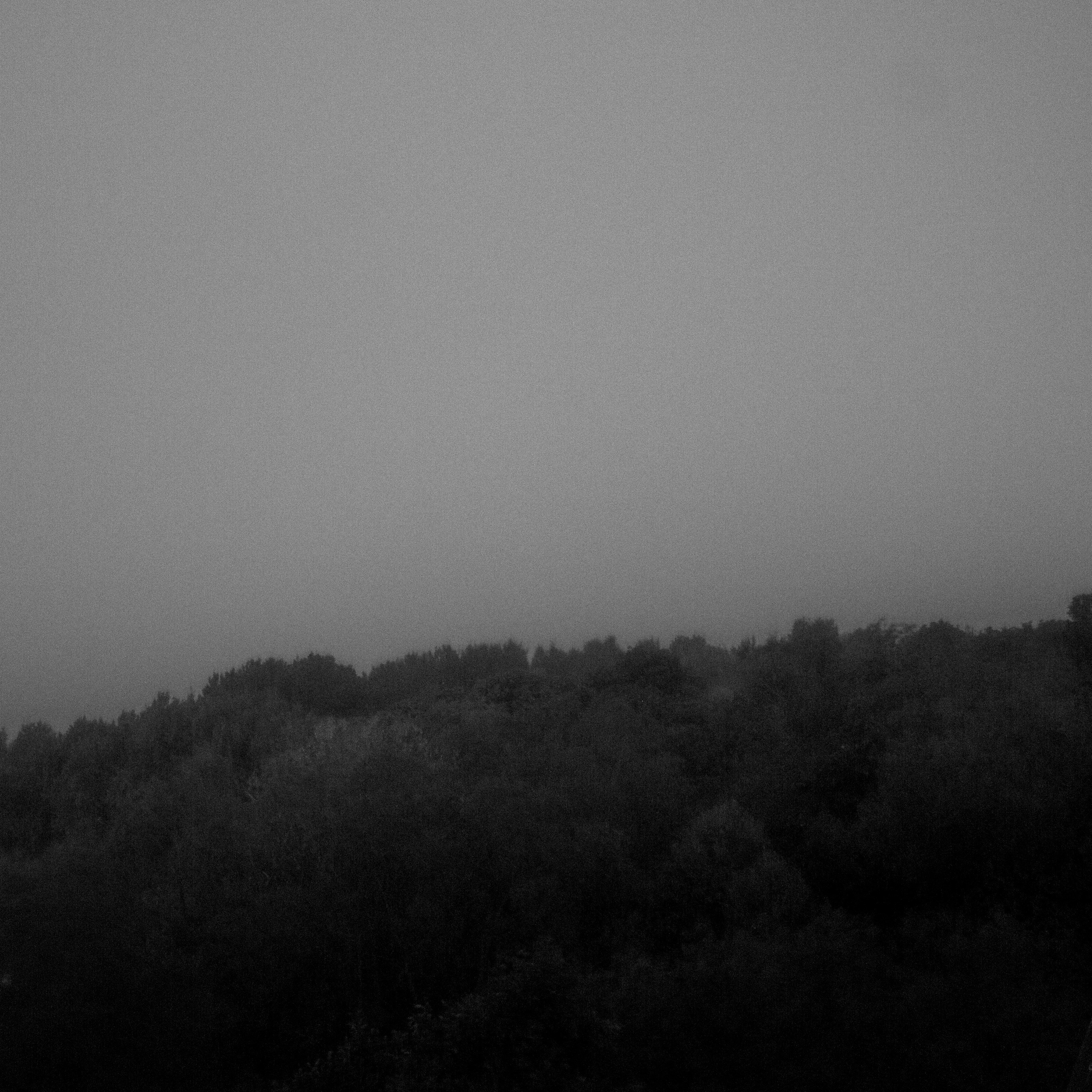 Середина нигде. Варвара Бабёнышева