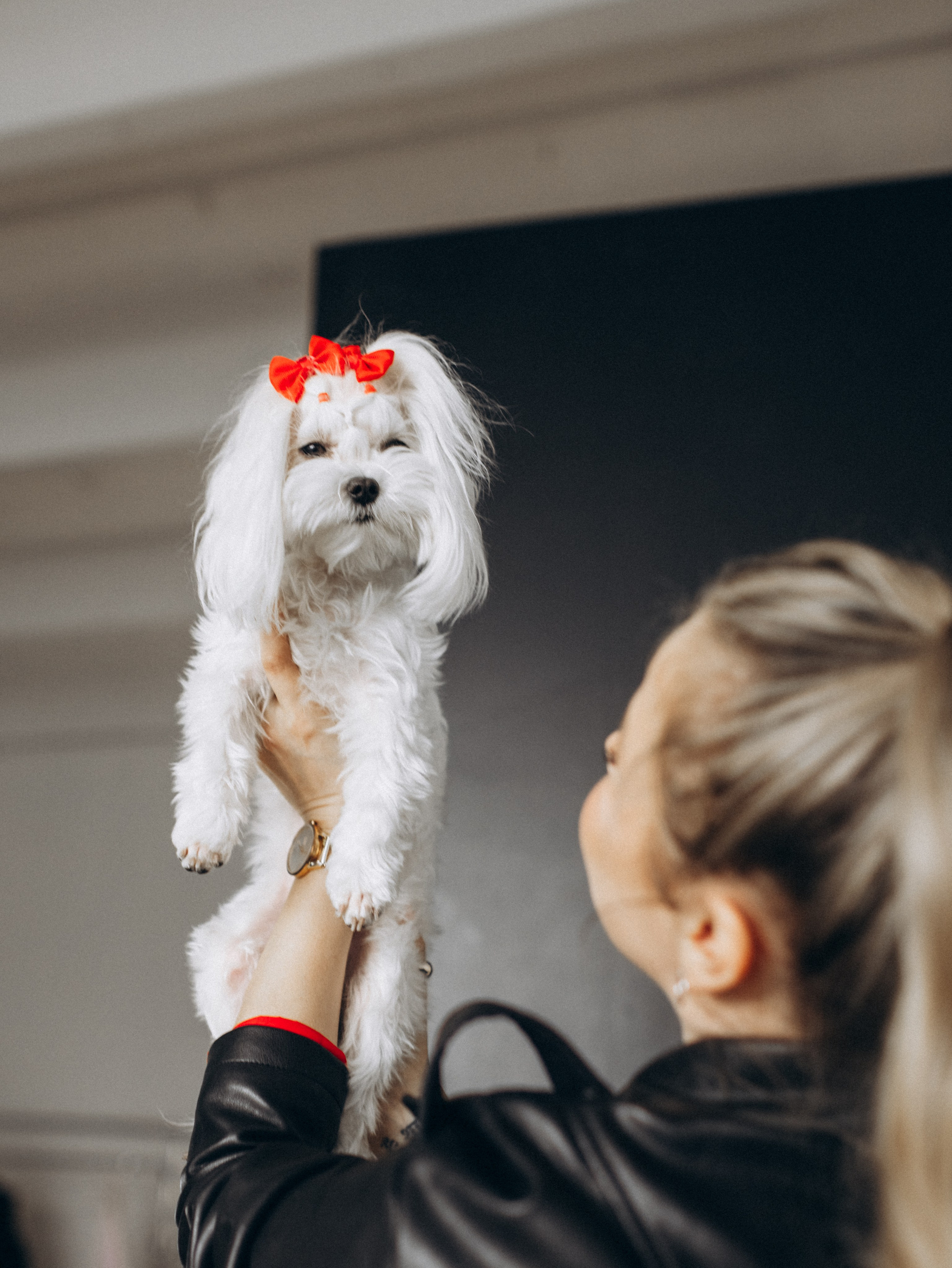 Мира и Таня. Фотограф-анималист в Москве Кириллова Татьяна