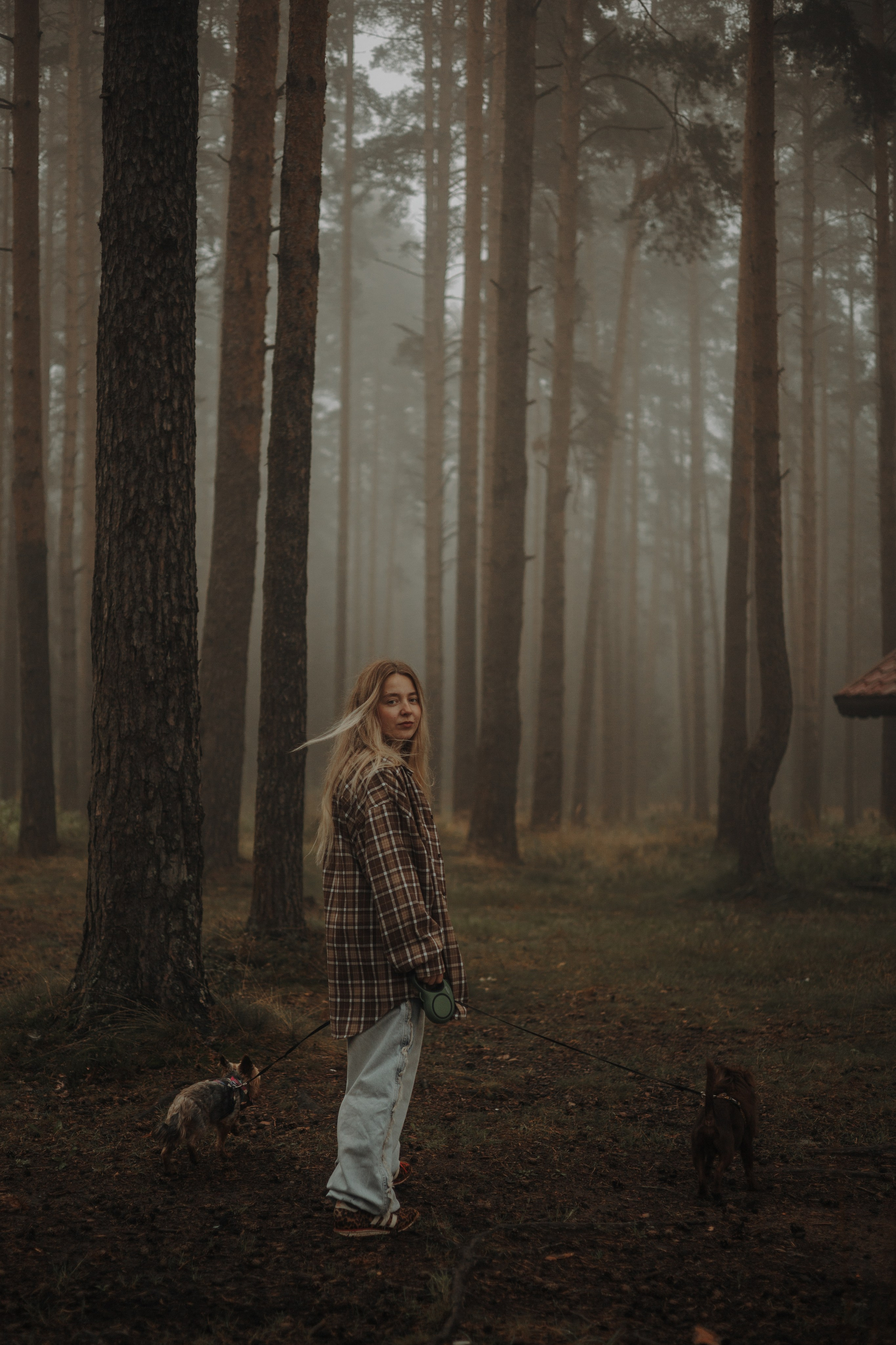 Наташа & Оззи & Йоша. Фотограф — анималист •love-story•|Санкт-Петербург